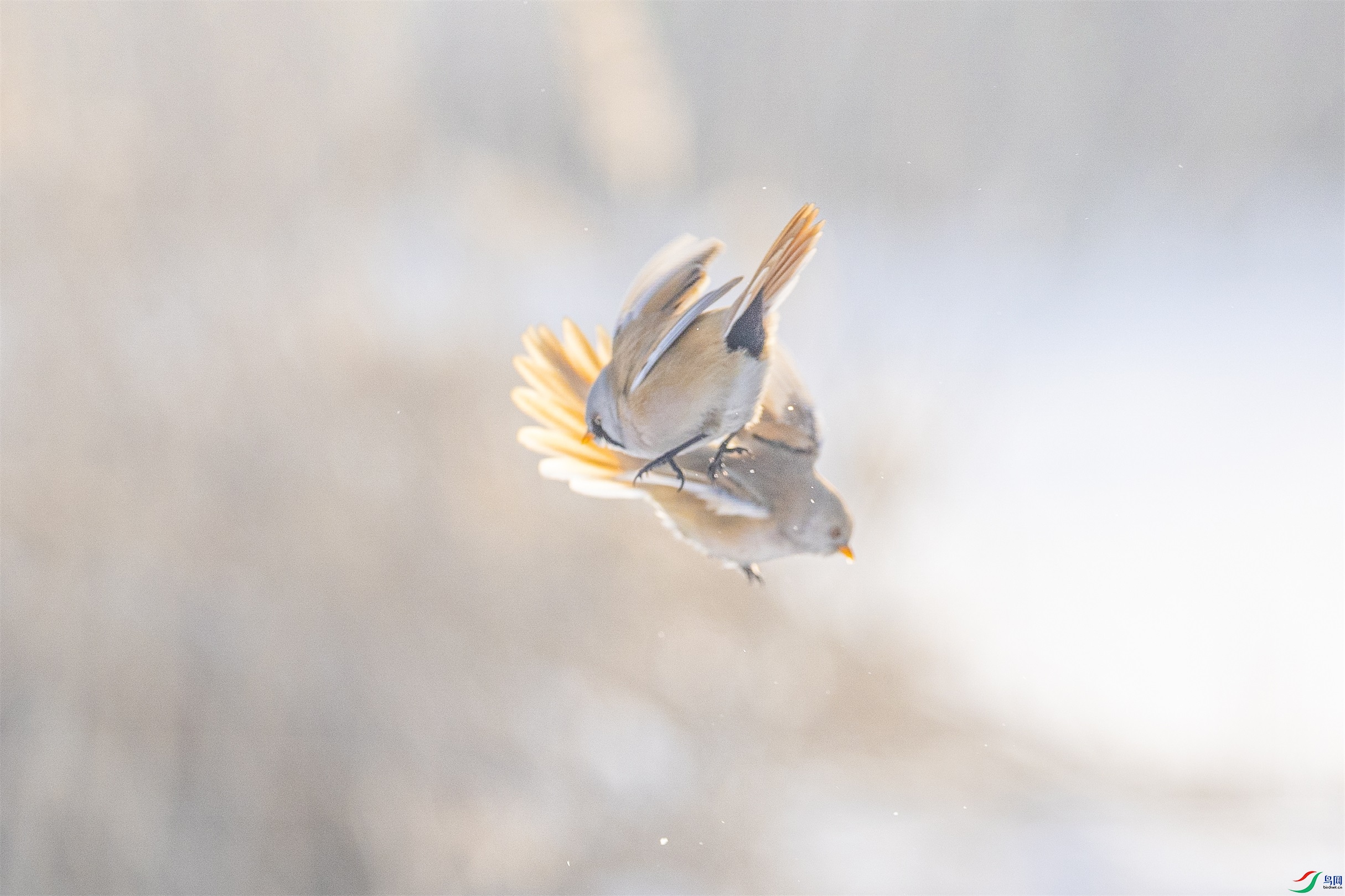 1K3A2252 ����1.jpg