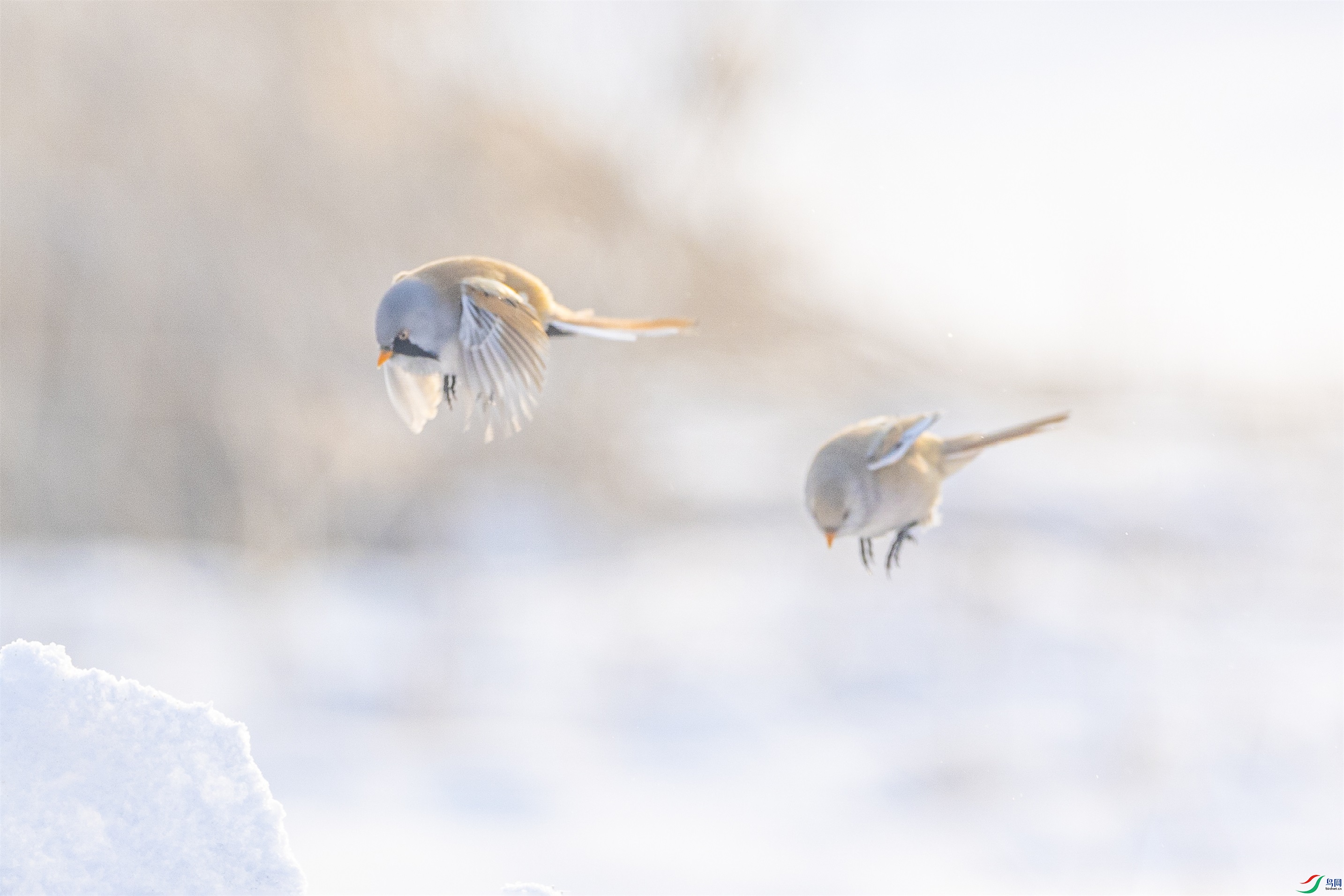 1K3A2255 ����1.jpg