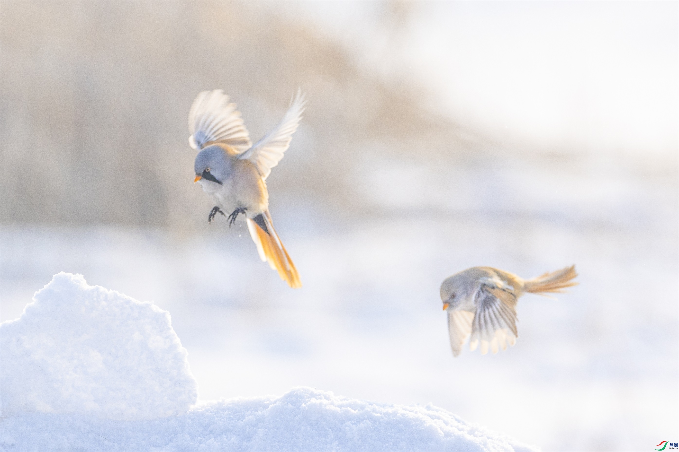 1K3A2256 ����1.jpg