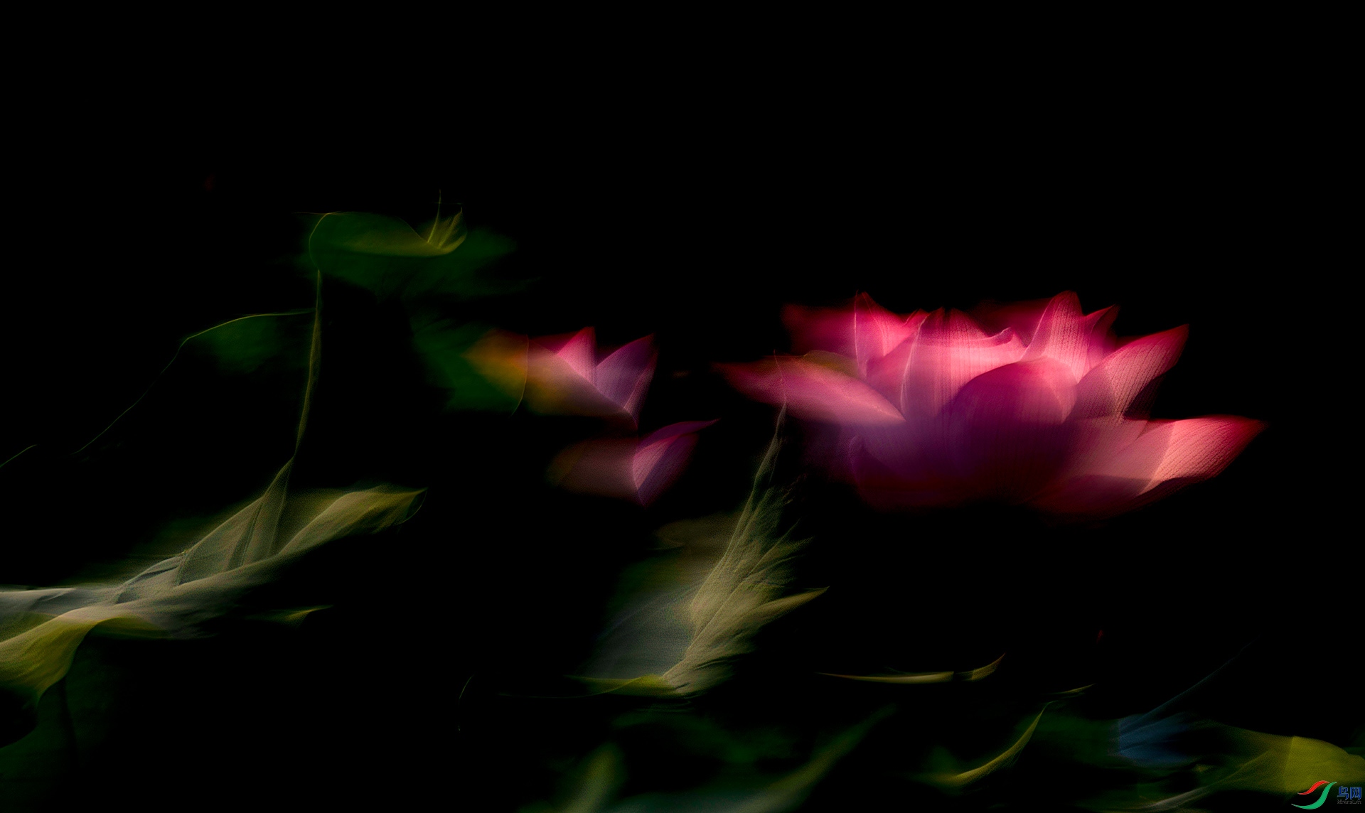 407A7773 ����-Sha----1  .jpg