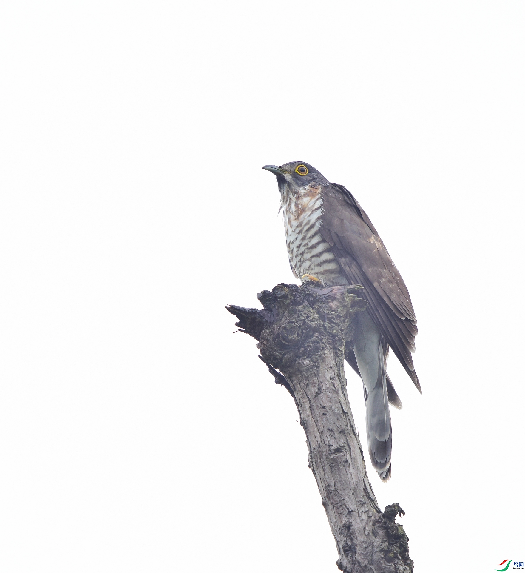 D8I_1814.jpg