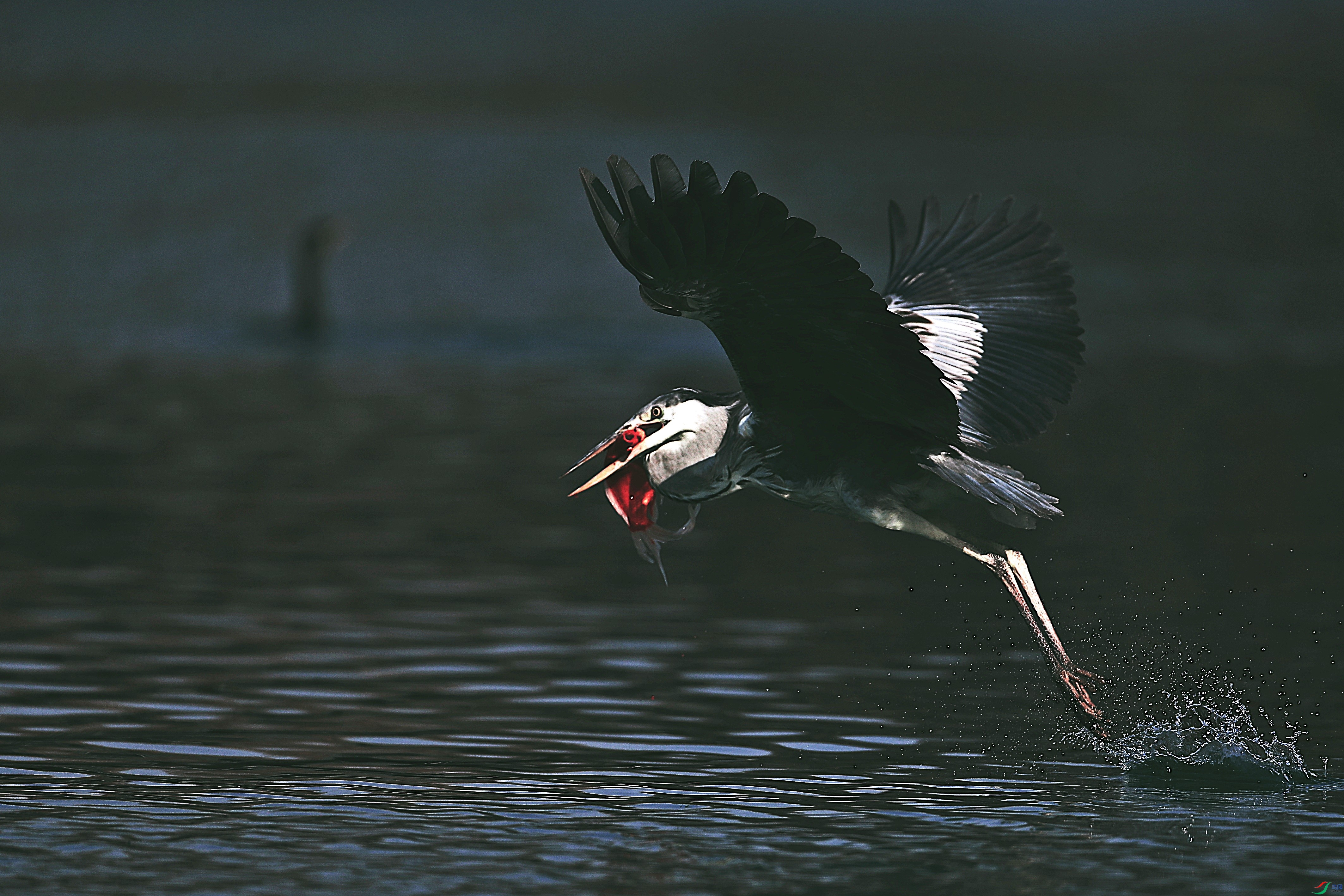 AS8I8539_���� (2).jpg