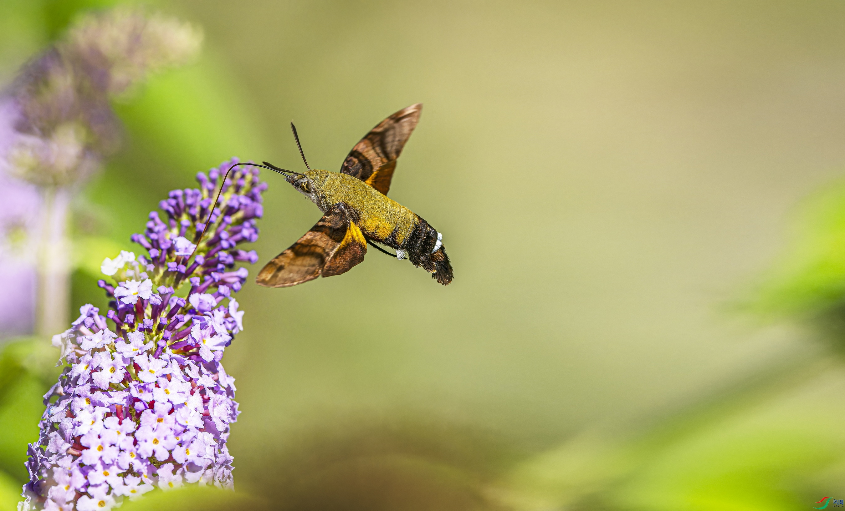 ������ (9)-1.jpg