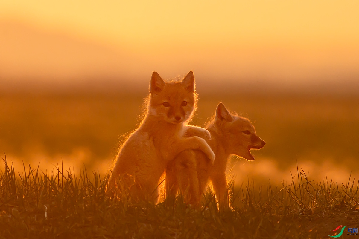 ����ʱ��