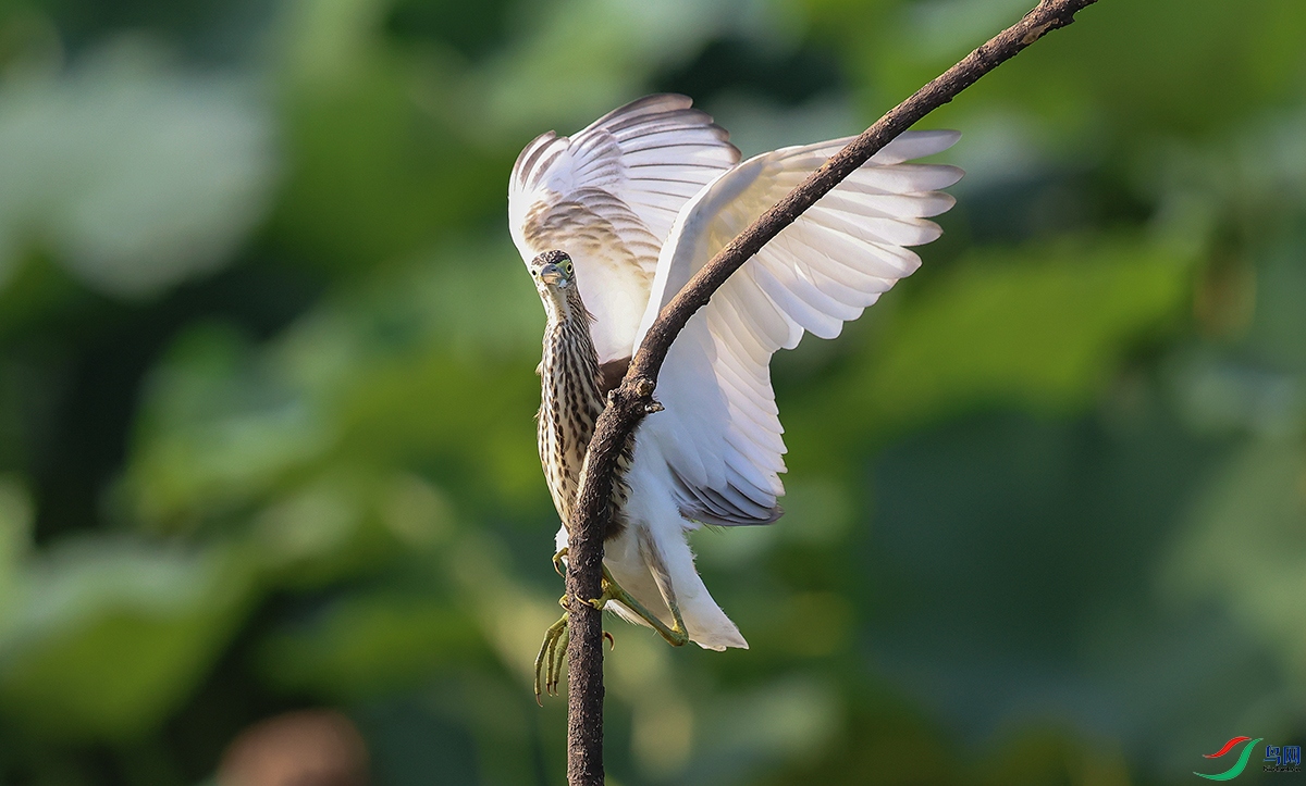 ΢��ͼƬ_20240913090945 ����.jpg