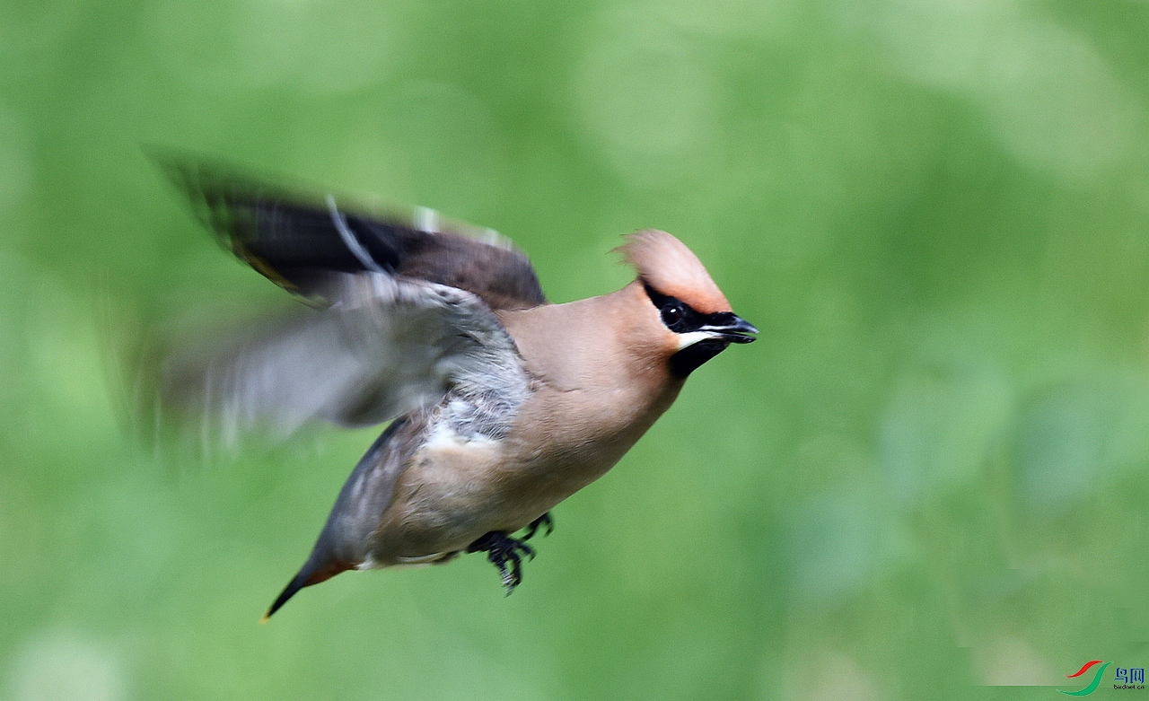 DSC_7179.jpg