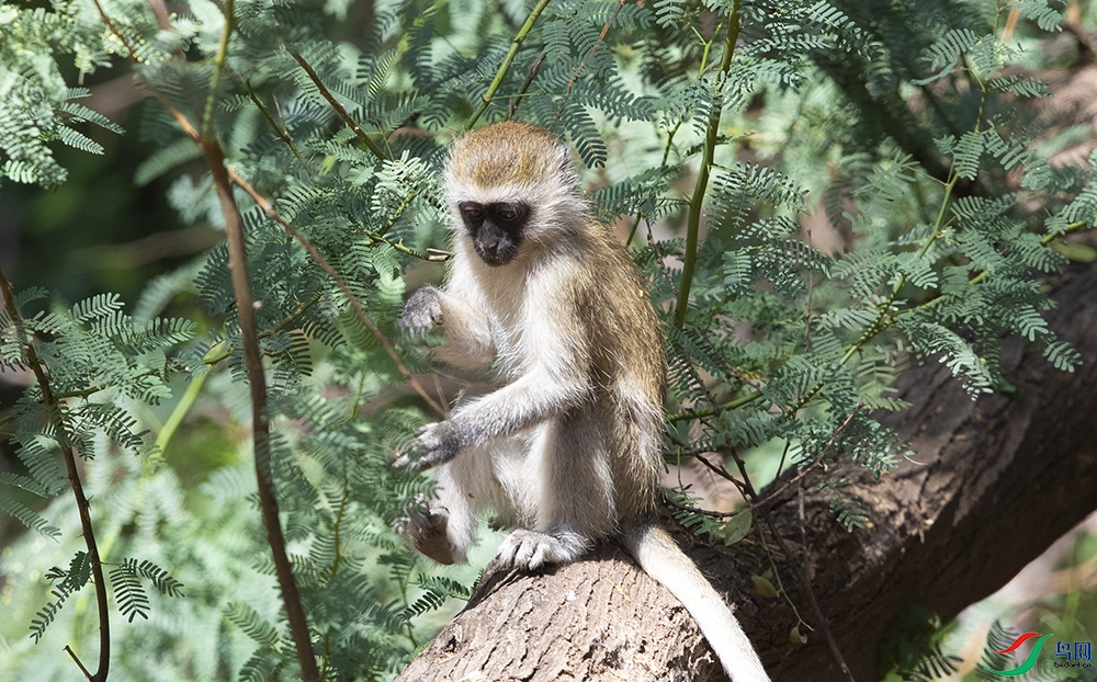 ���޺����� (4).jpg