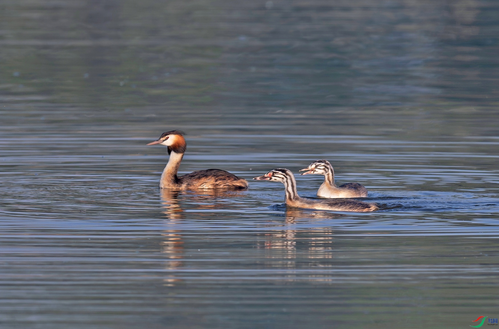 _DSC7863f.jpg