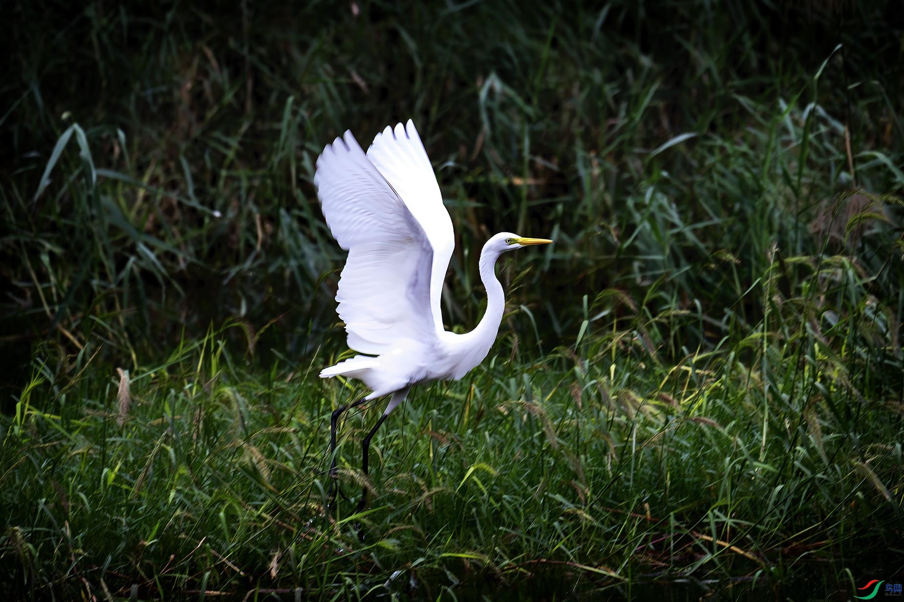 �����ڷ�