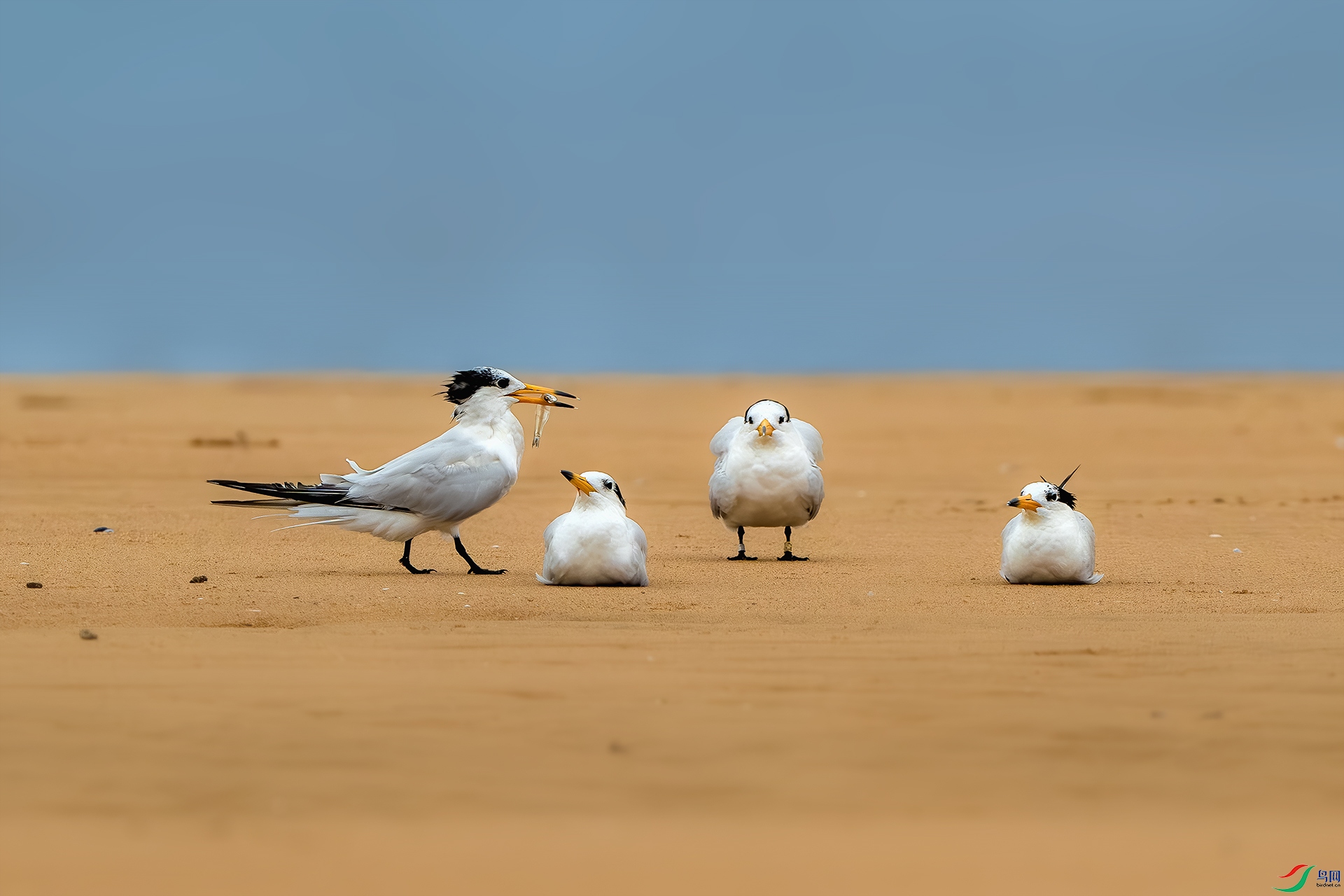 _DSC1069-����ǿ-NR ����С.jpg