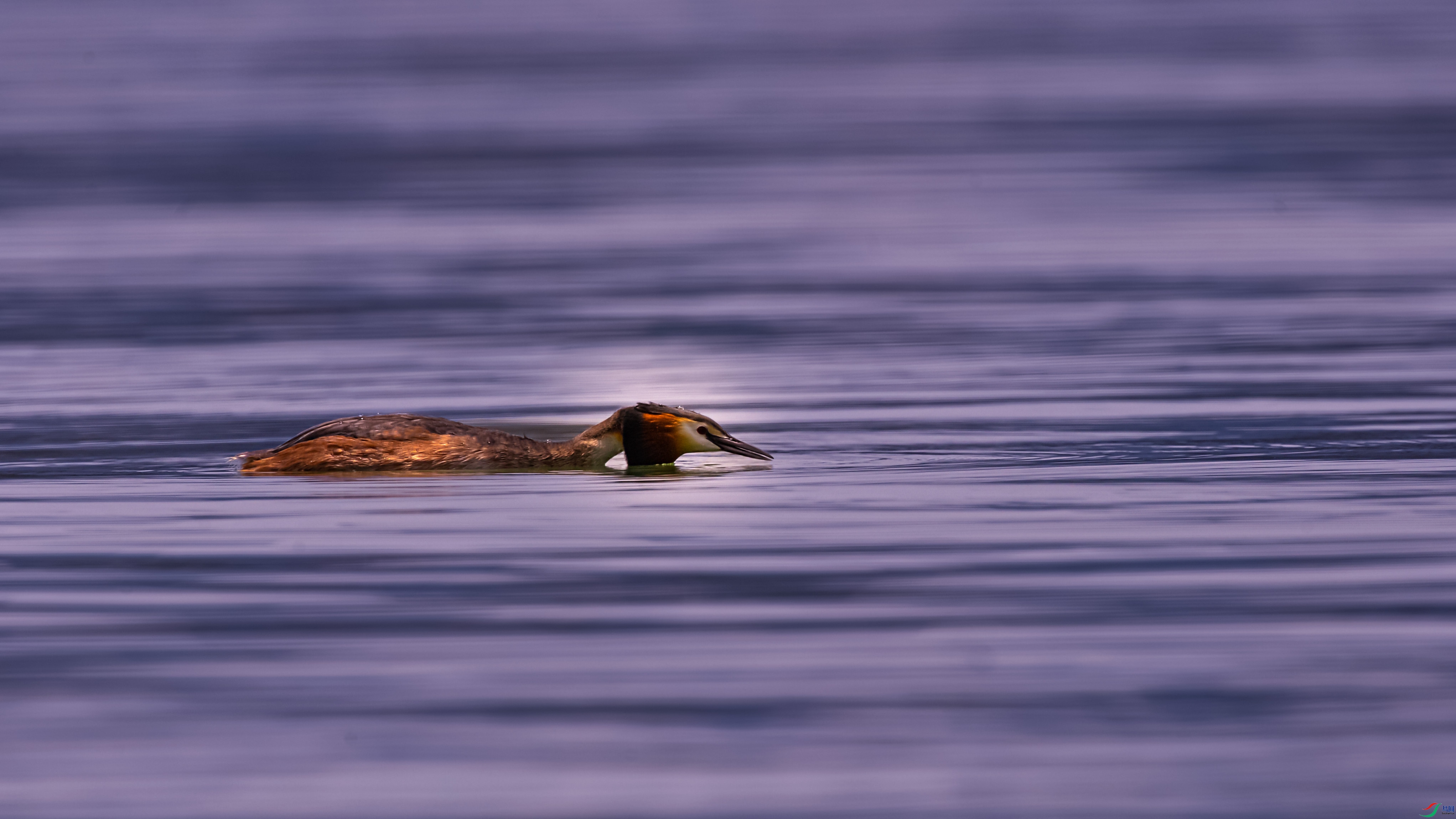 DSC_7262.jpg