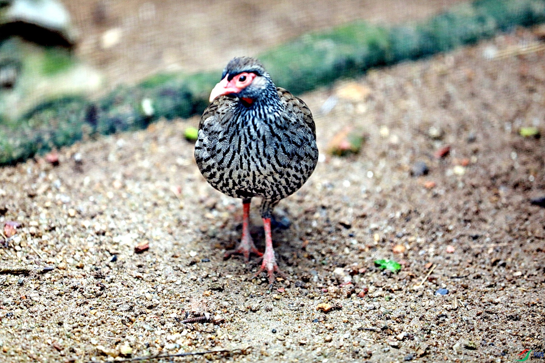 BK2A92601.JPG