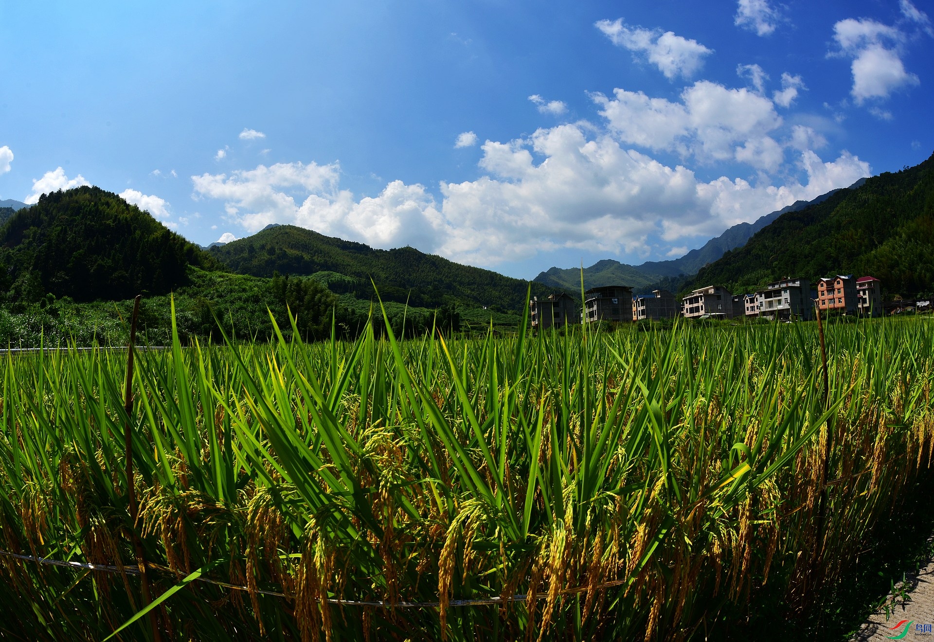 D8I_4135.jpg