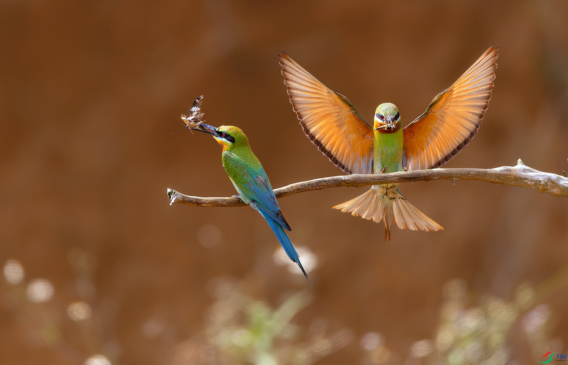 407A6784 ����-Sh----1 .jpg