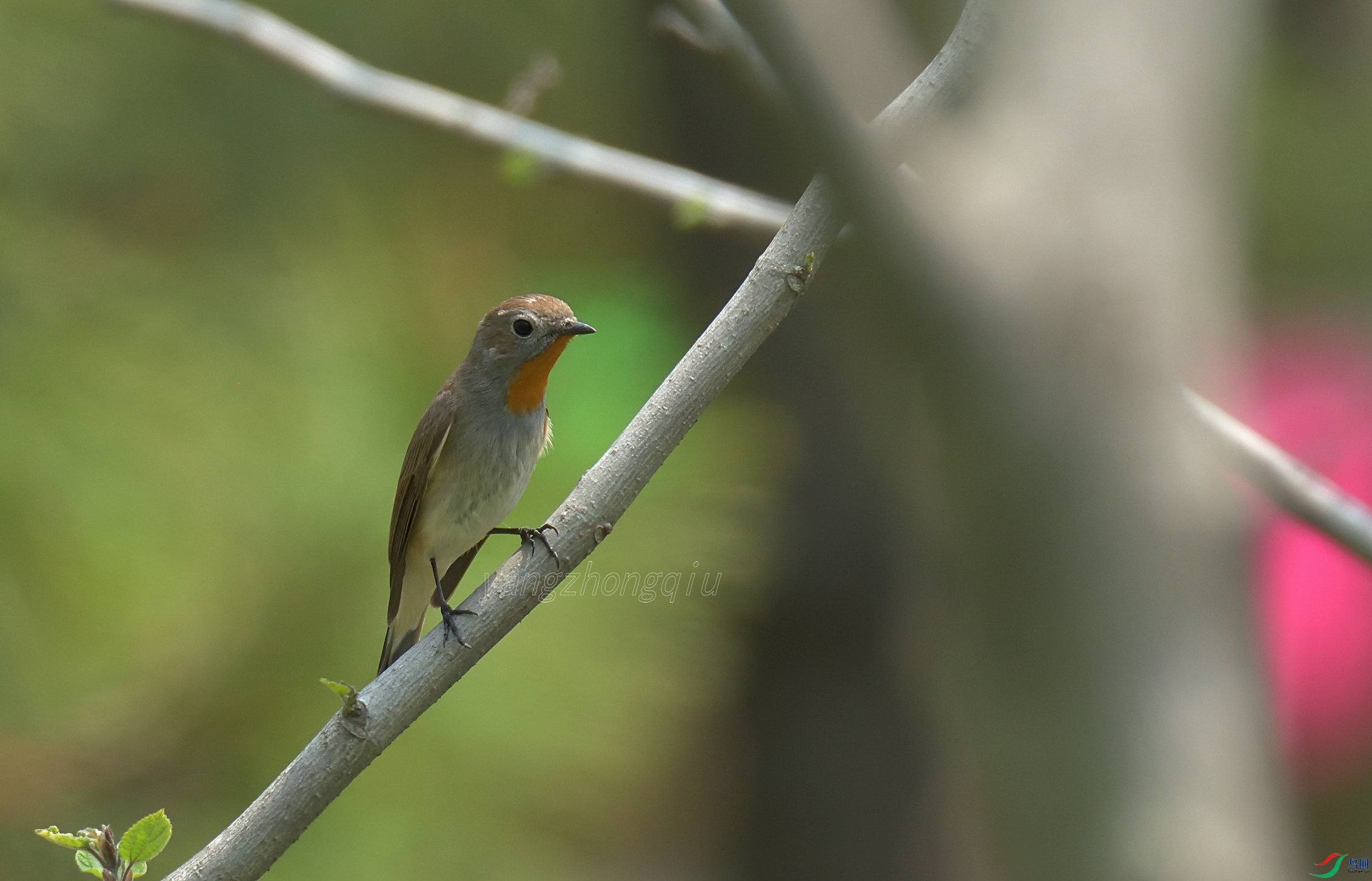 _������O ����