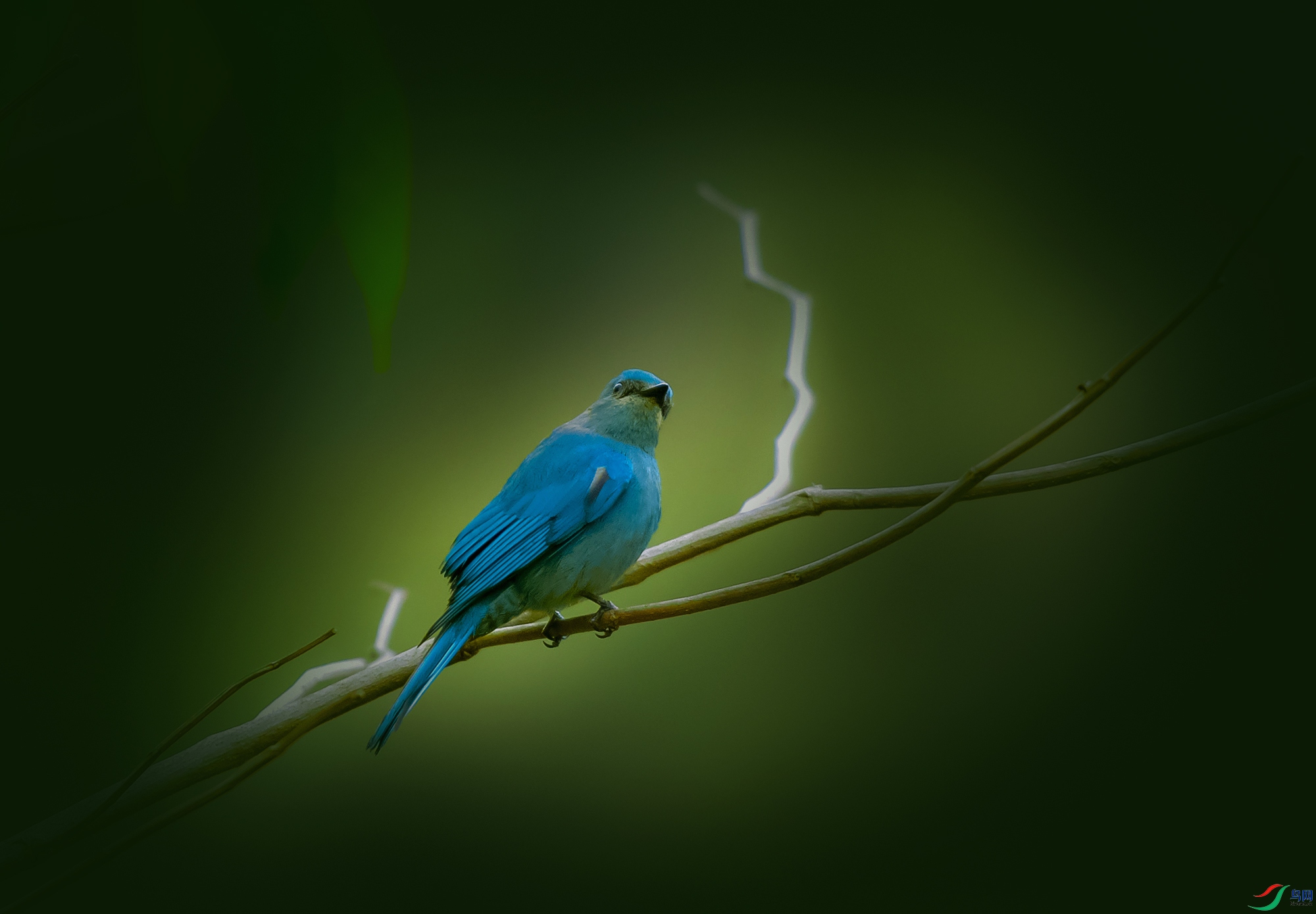 DSC_0021.JPG