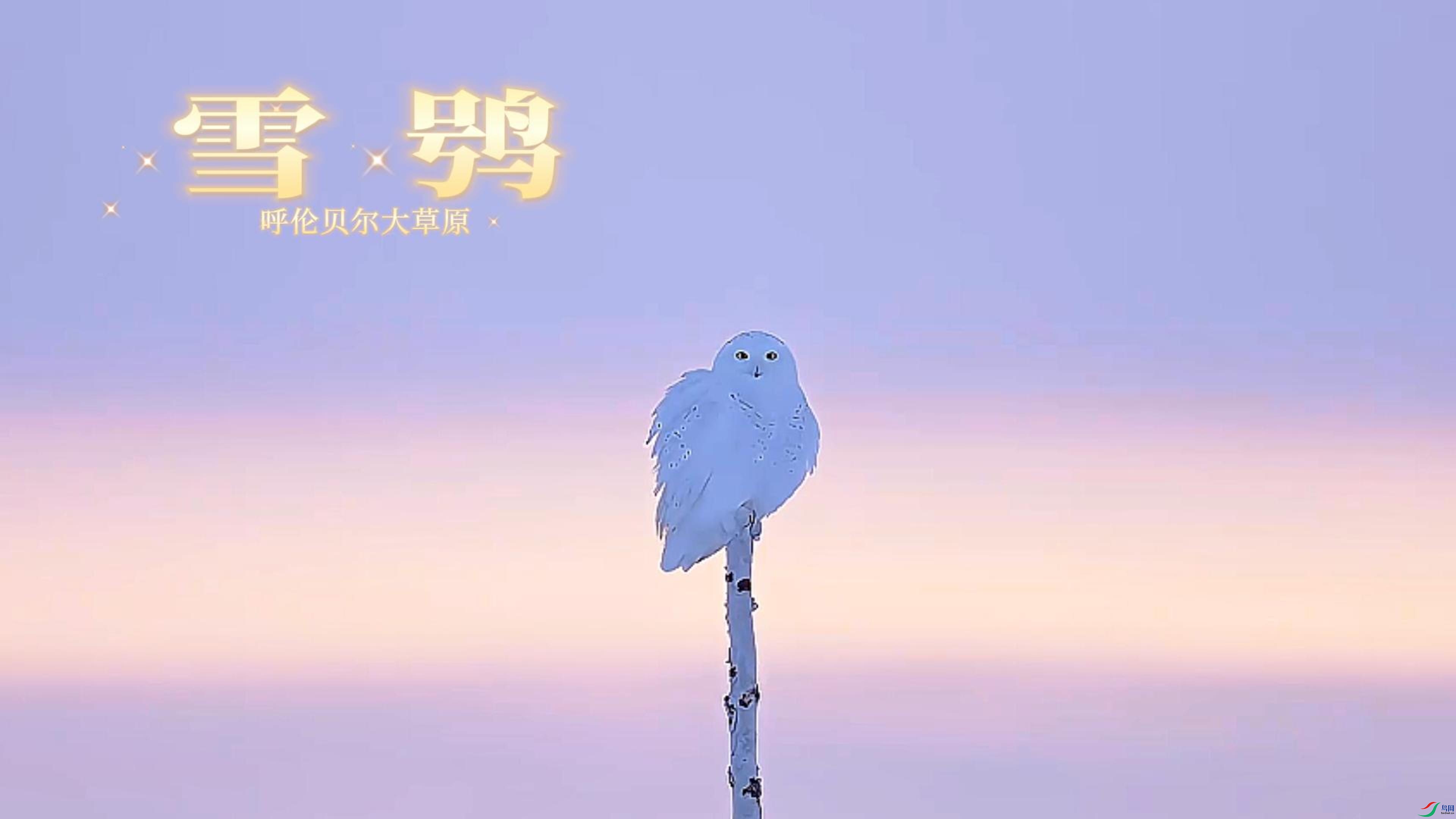 9��13�� (2)-����.jpg