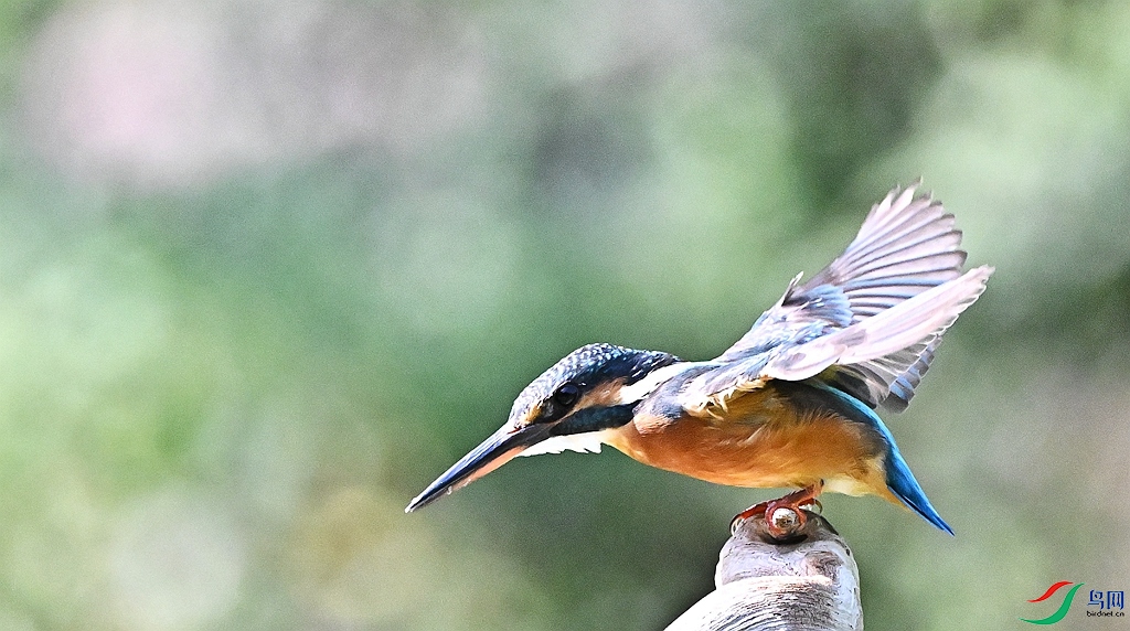 DSC_2898.JPG