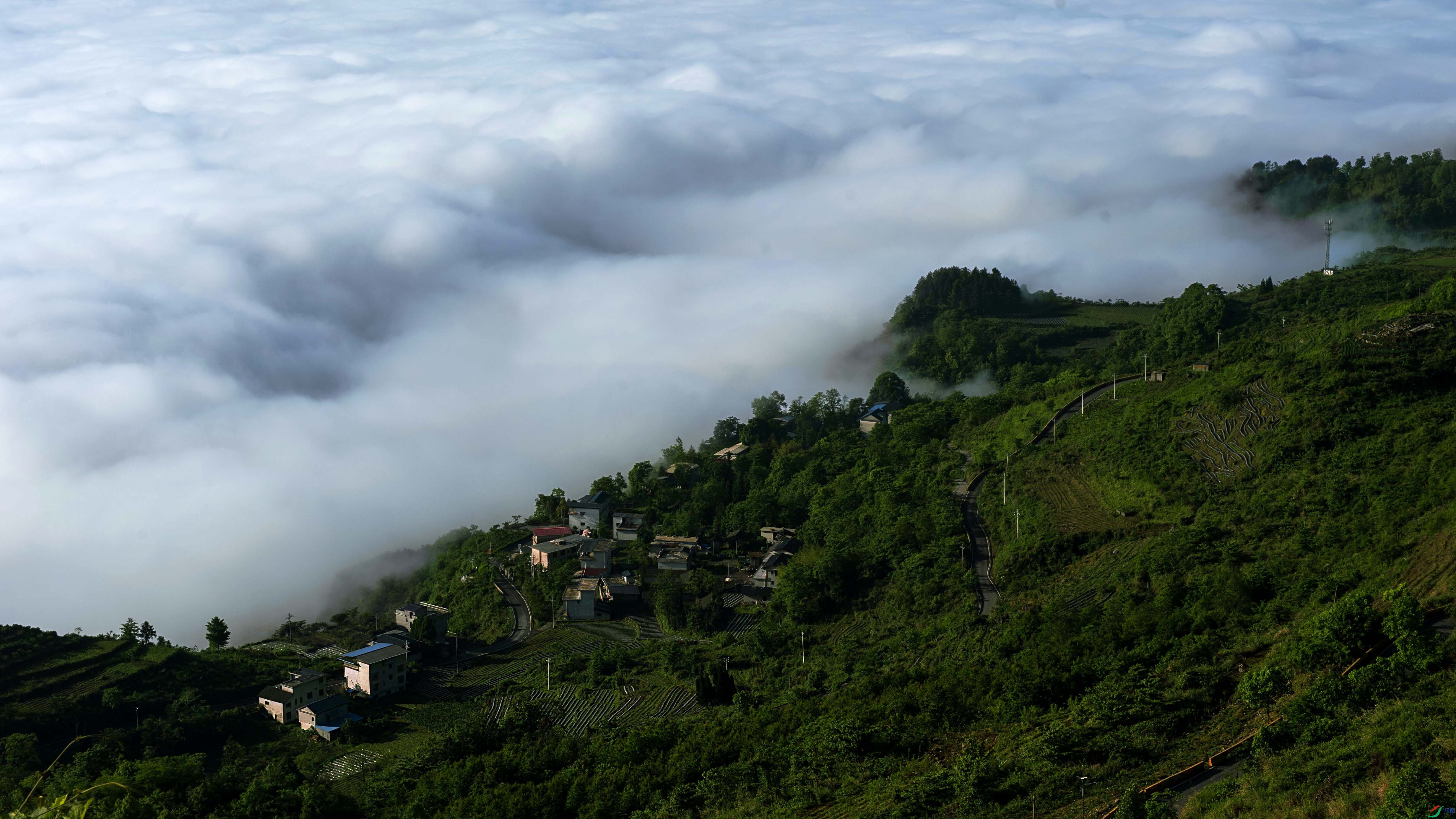 DSC_7994.jpg