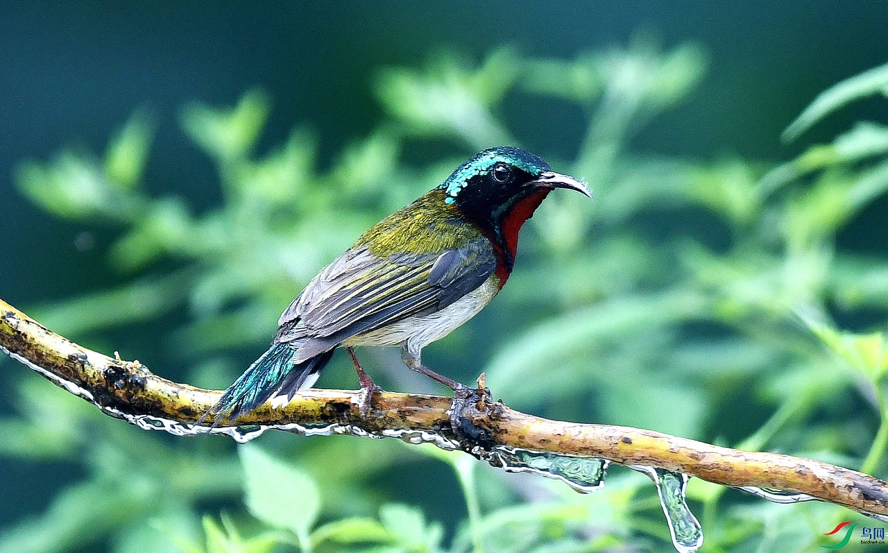 ��β̫���� 9.12 1.jpg