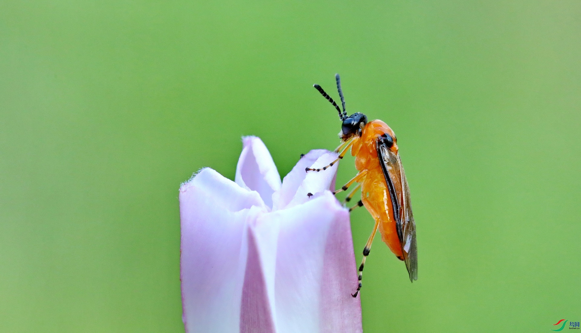 0G0A9136����.JPG