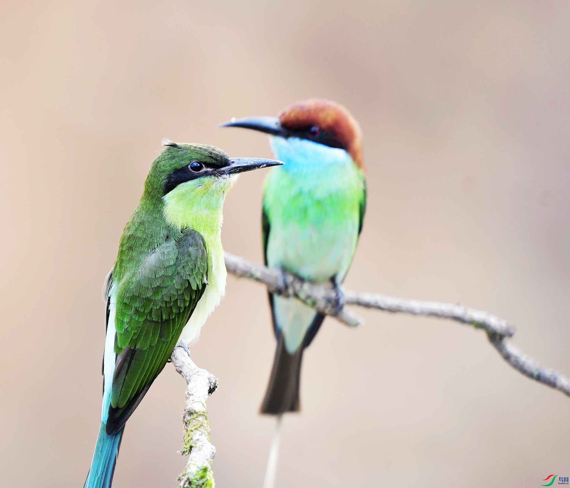 _D5D0952.jpg