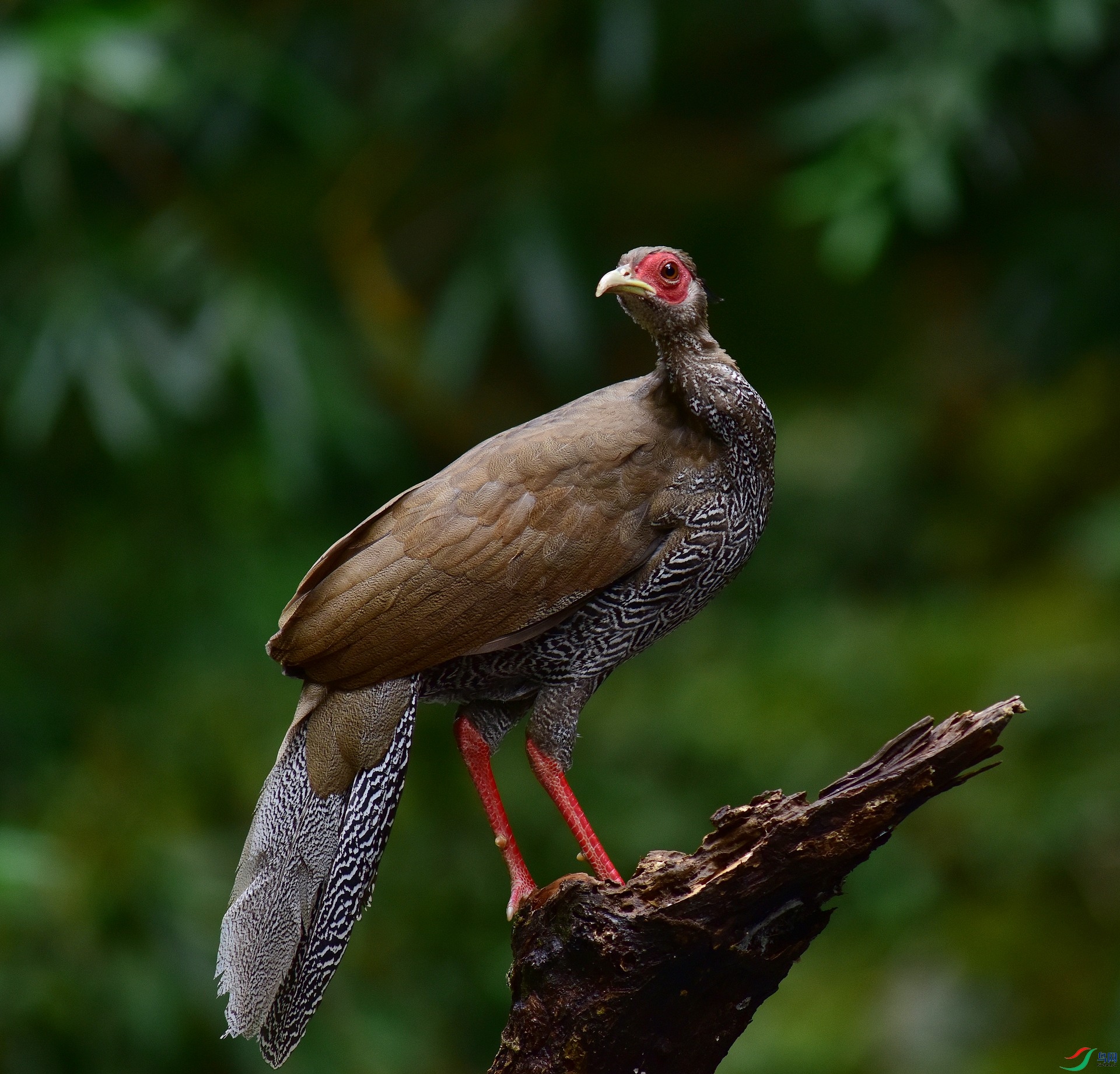D8I_8330.jpg