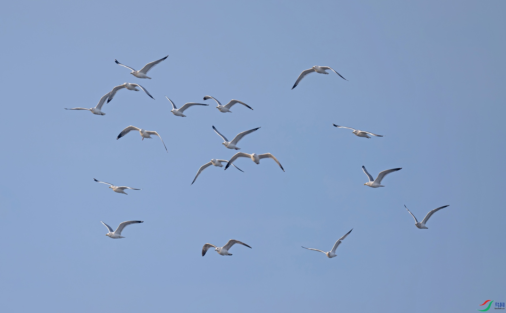 _DSC8756f.jpg
