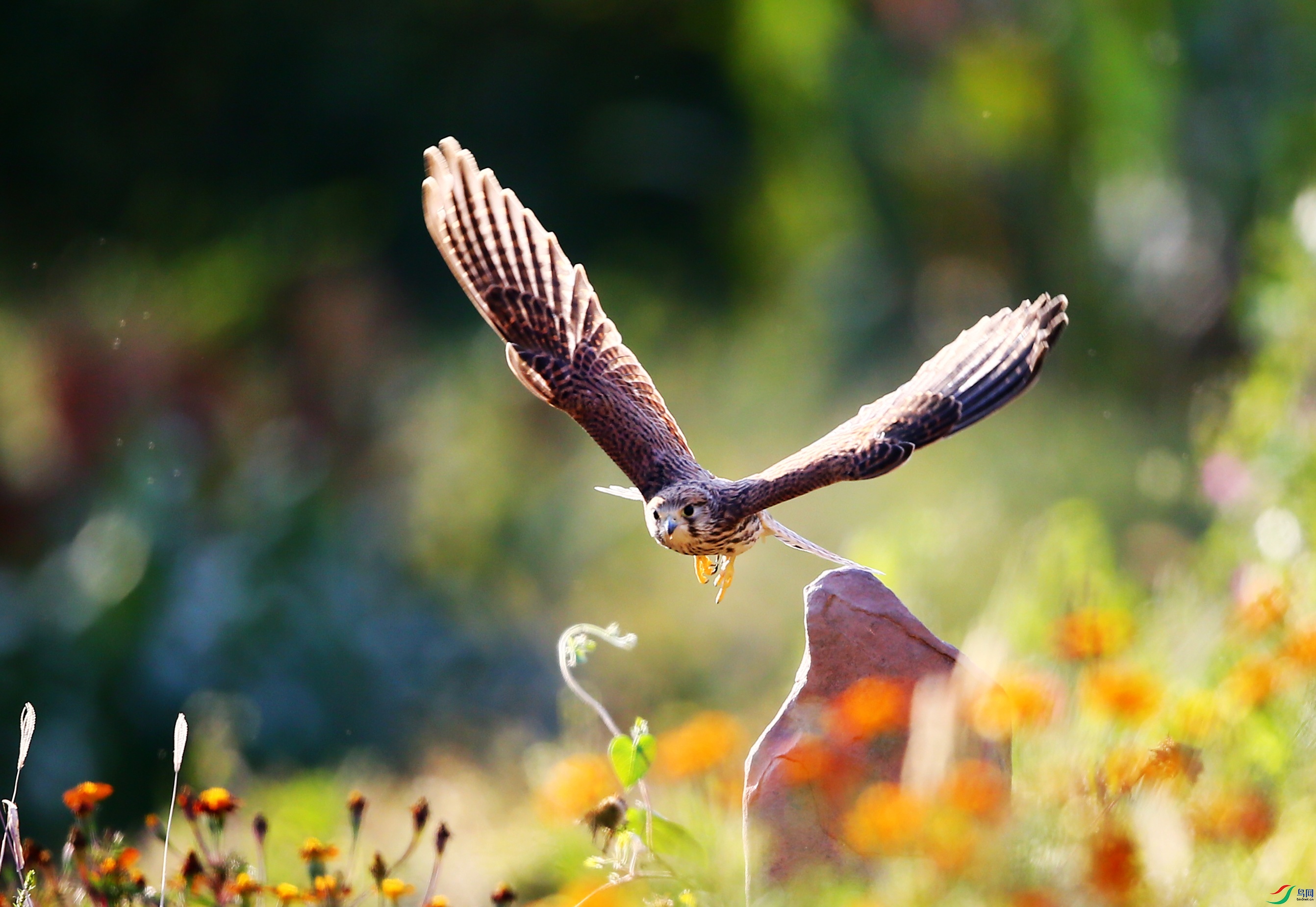 ����  (31).JPG