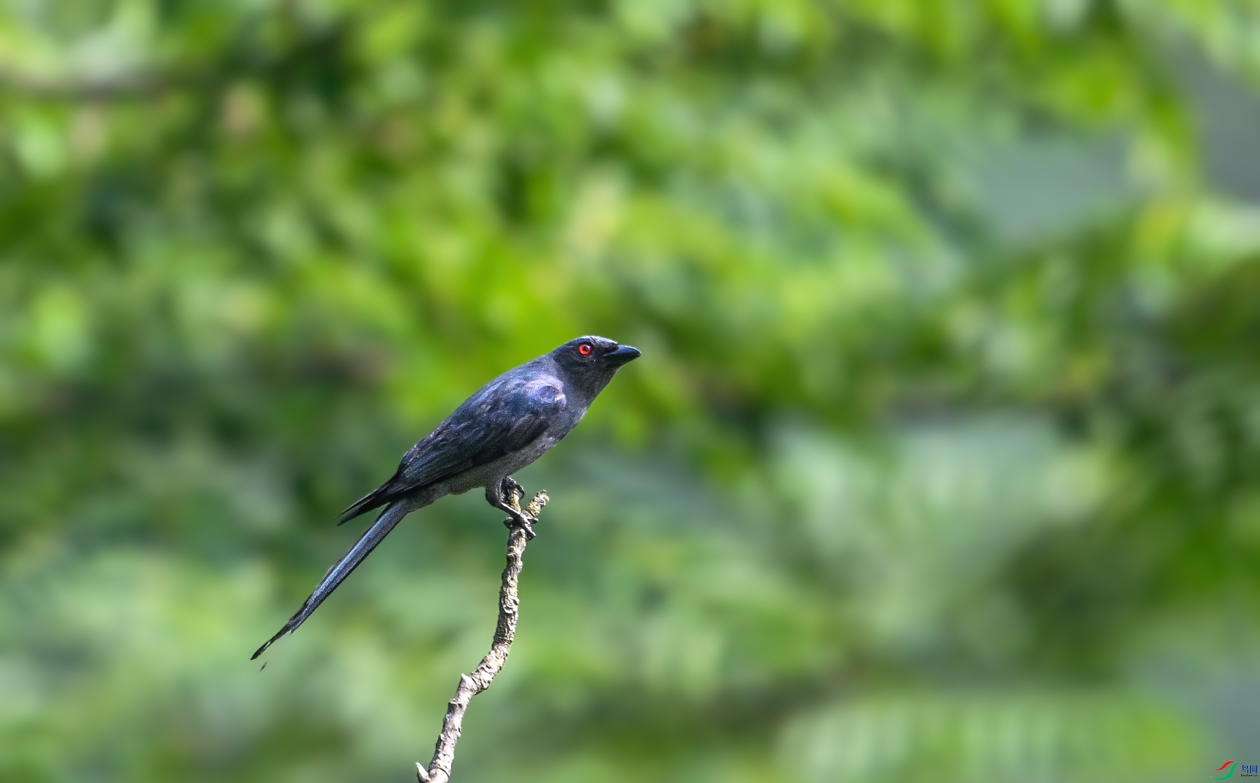 DSC_0607.jpg