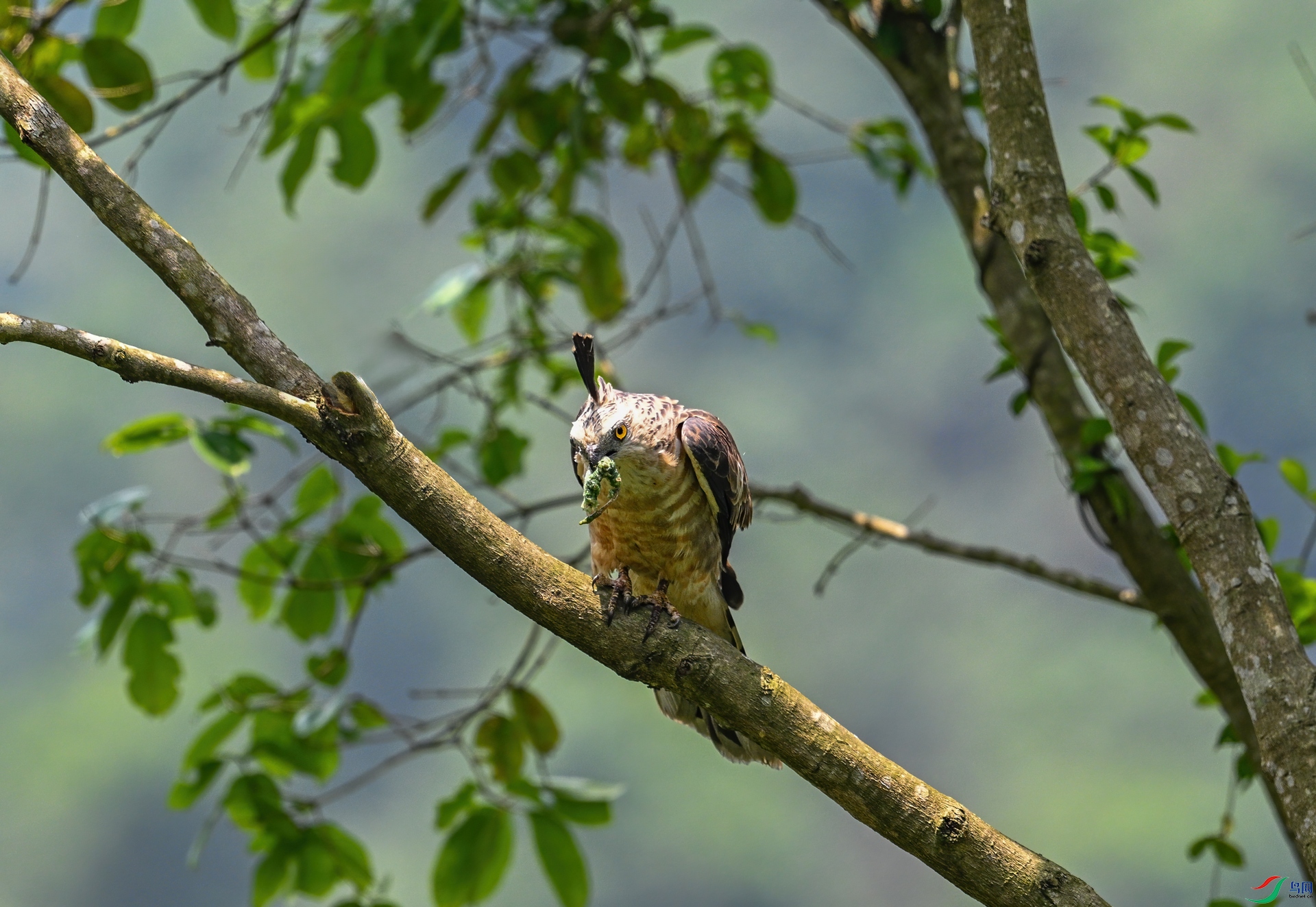DSC_0962.jpg