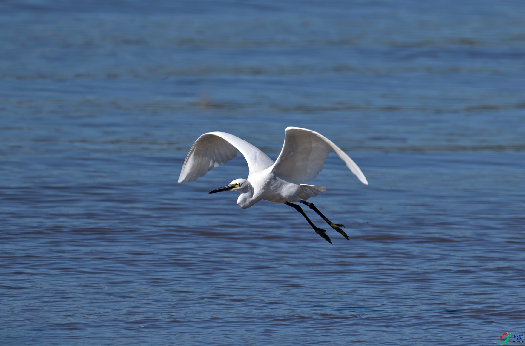 _DSC9941f.jpg
