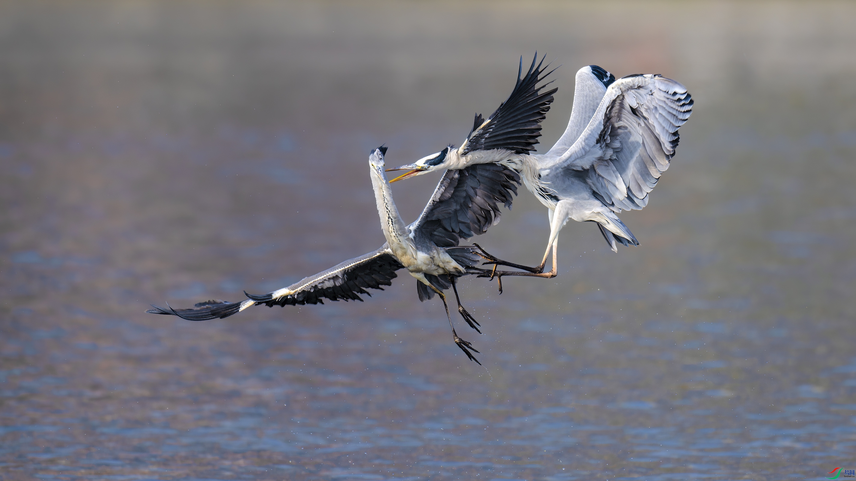 DSC_6124_DxO.jpg
