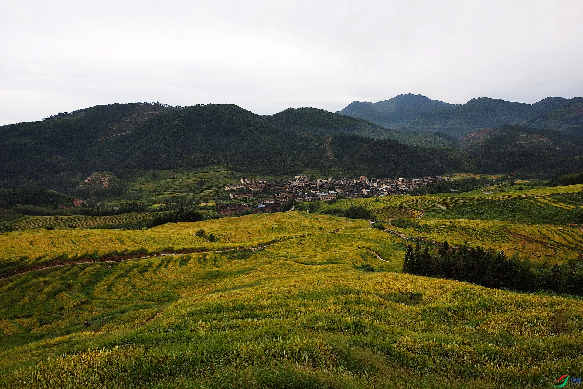 D8I_5576.jpg