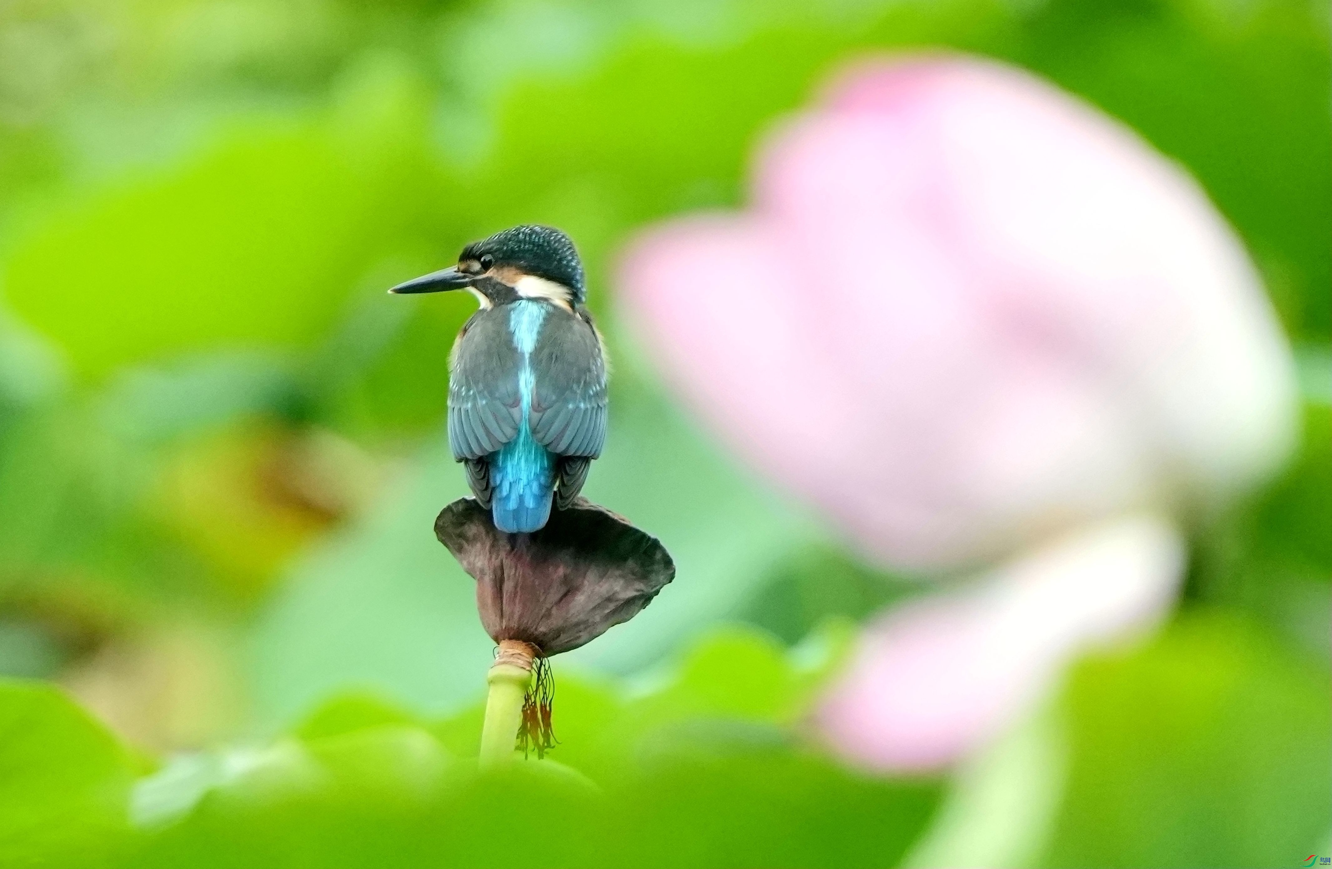 ��ǰ������DSC04774_����.jpg