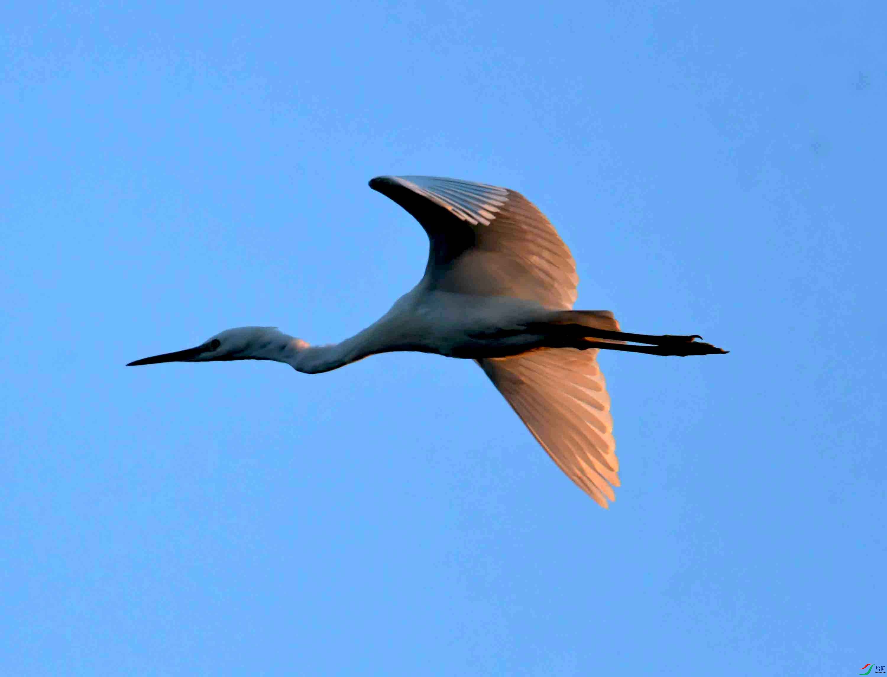 DSC_4353.JPG