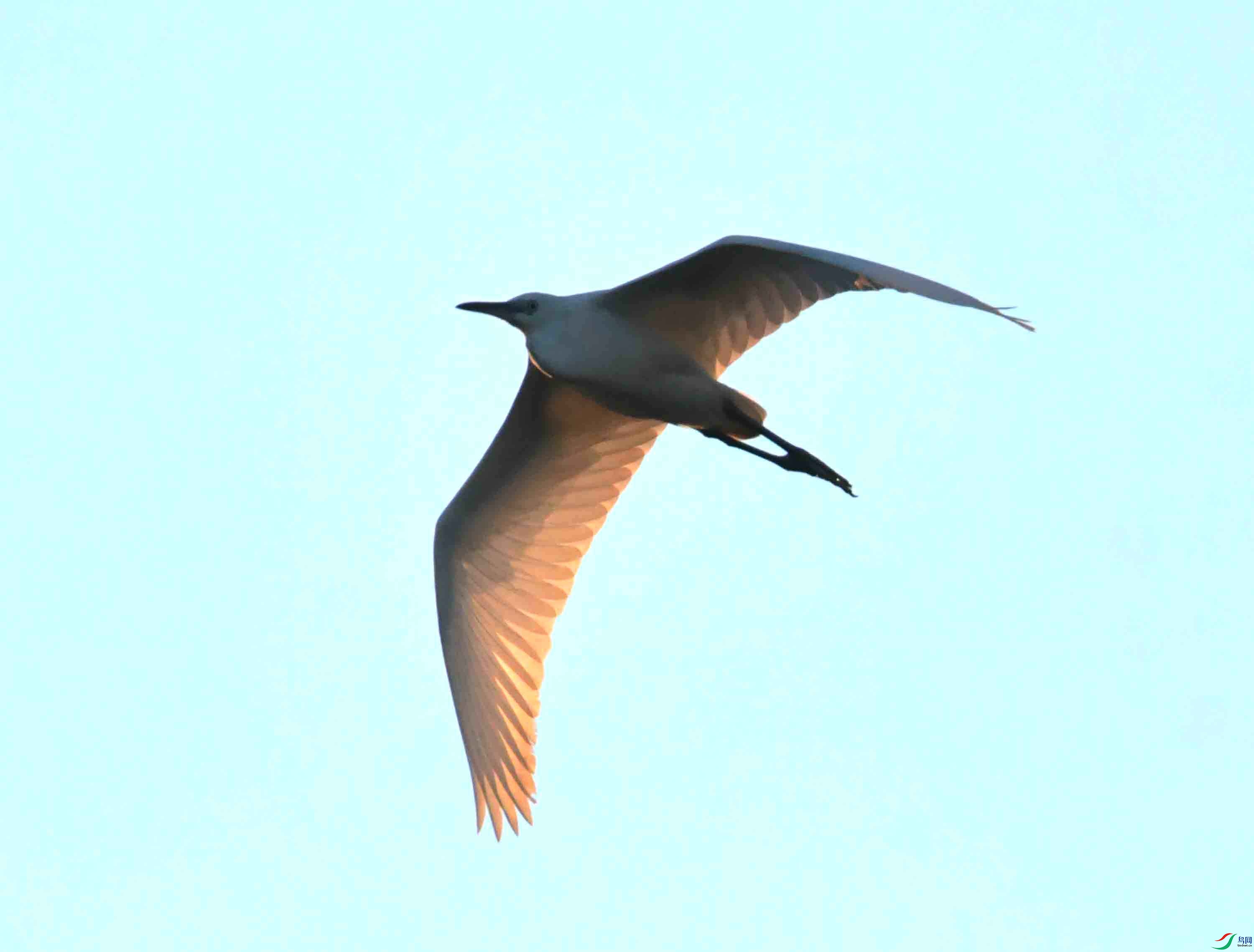 DSC_4384.JPG
