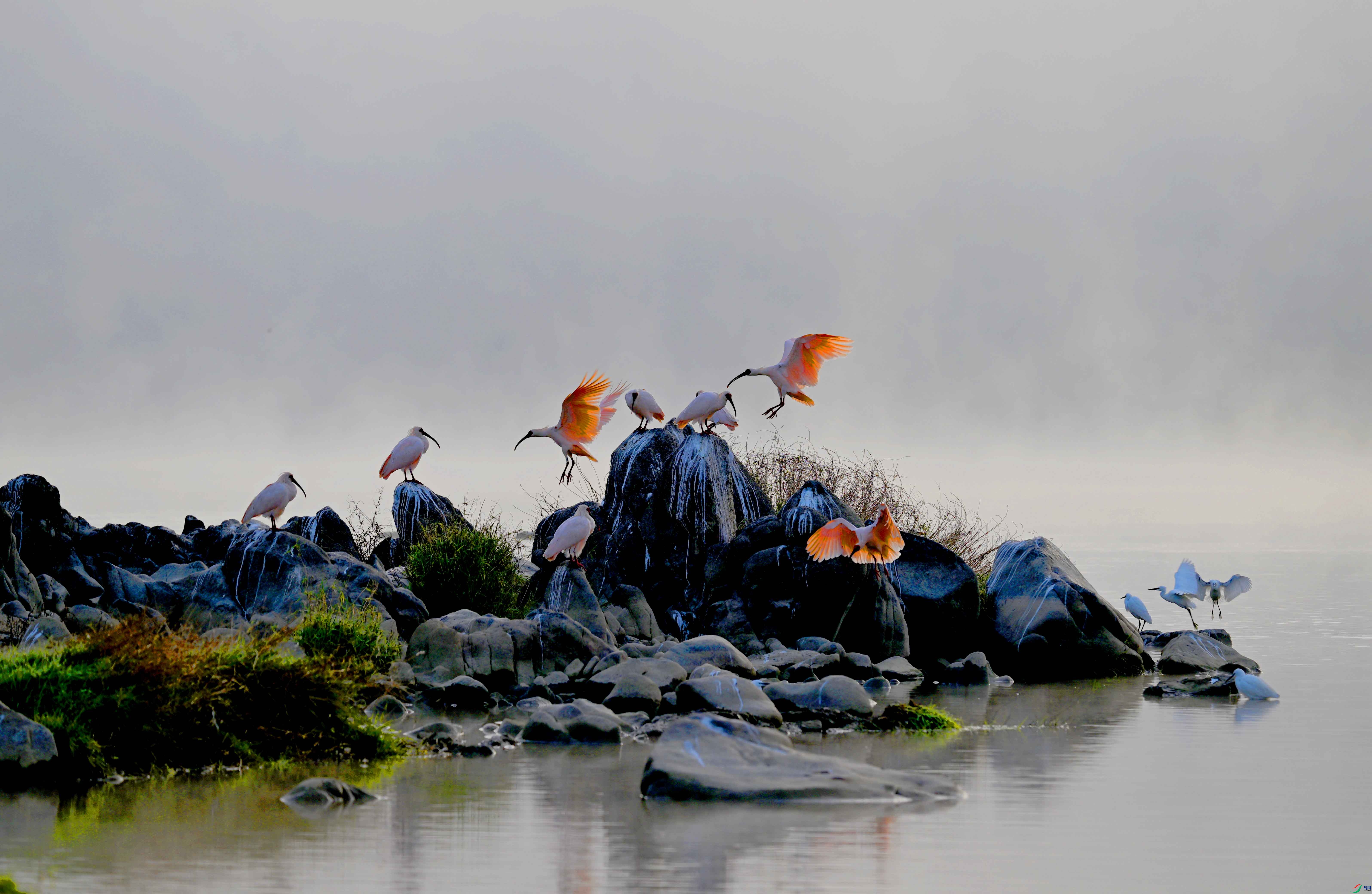 DSC_9000 ����.jpg