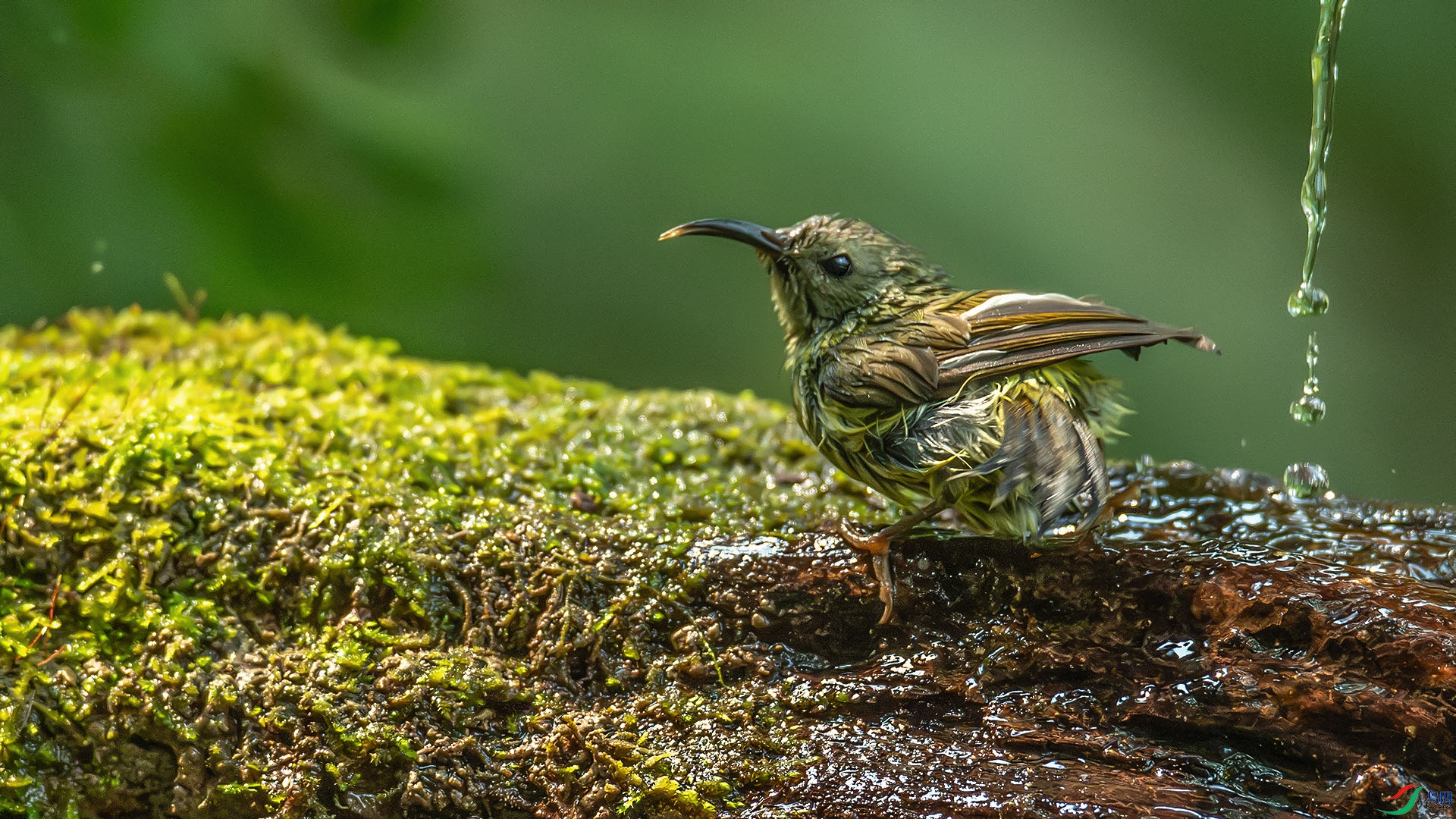 DSC_4289-����ǿ-NR.jpg
