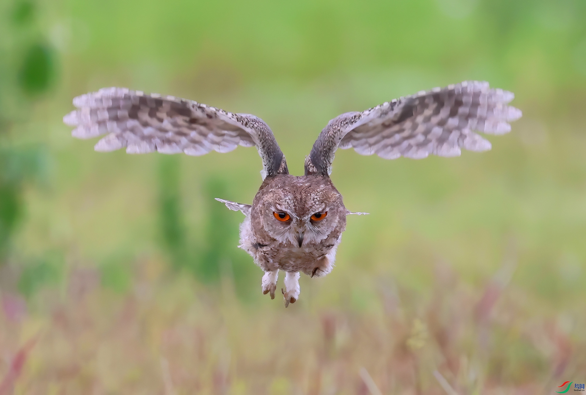 ������^ 5897---333.jpg