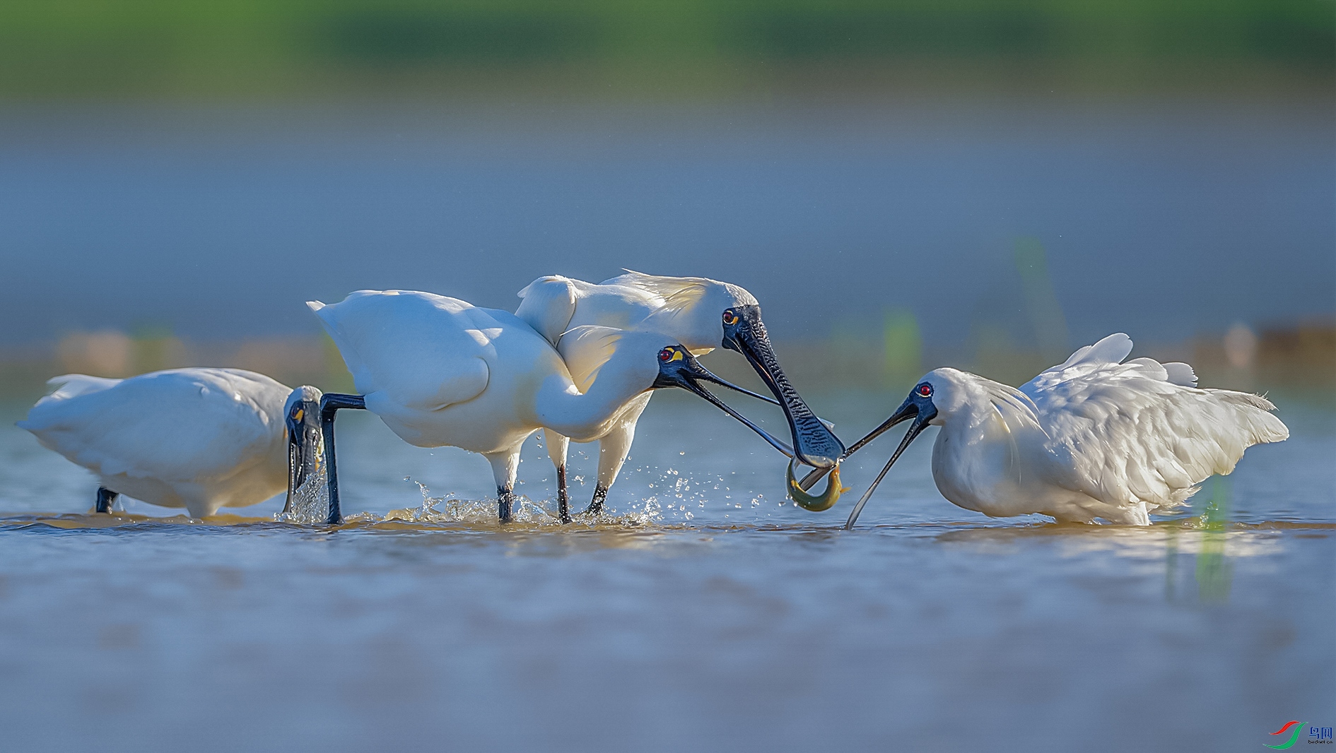 DSC_5966 ���� 2nn ����xx ����a ����x.jpg