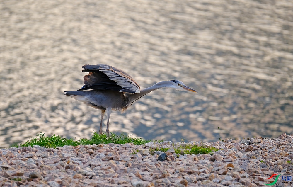 DSCF0216.1.jpg