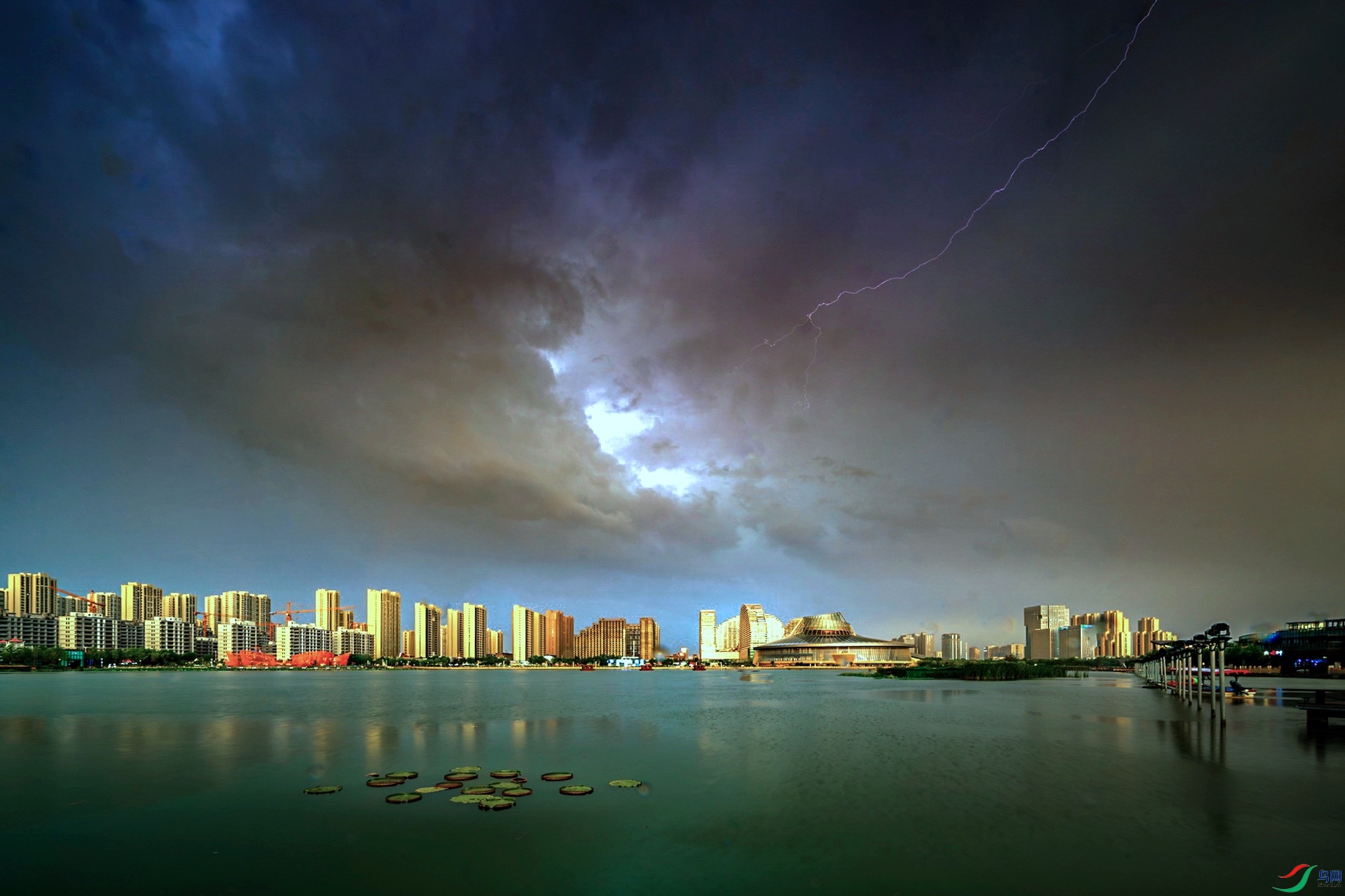 1_XXL1544-����ǿ-NR ����-1-1-1.jpeg