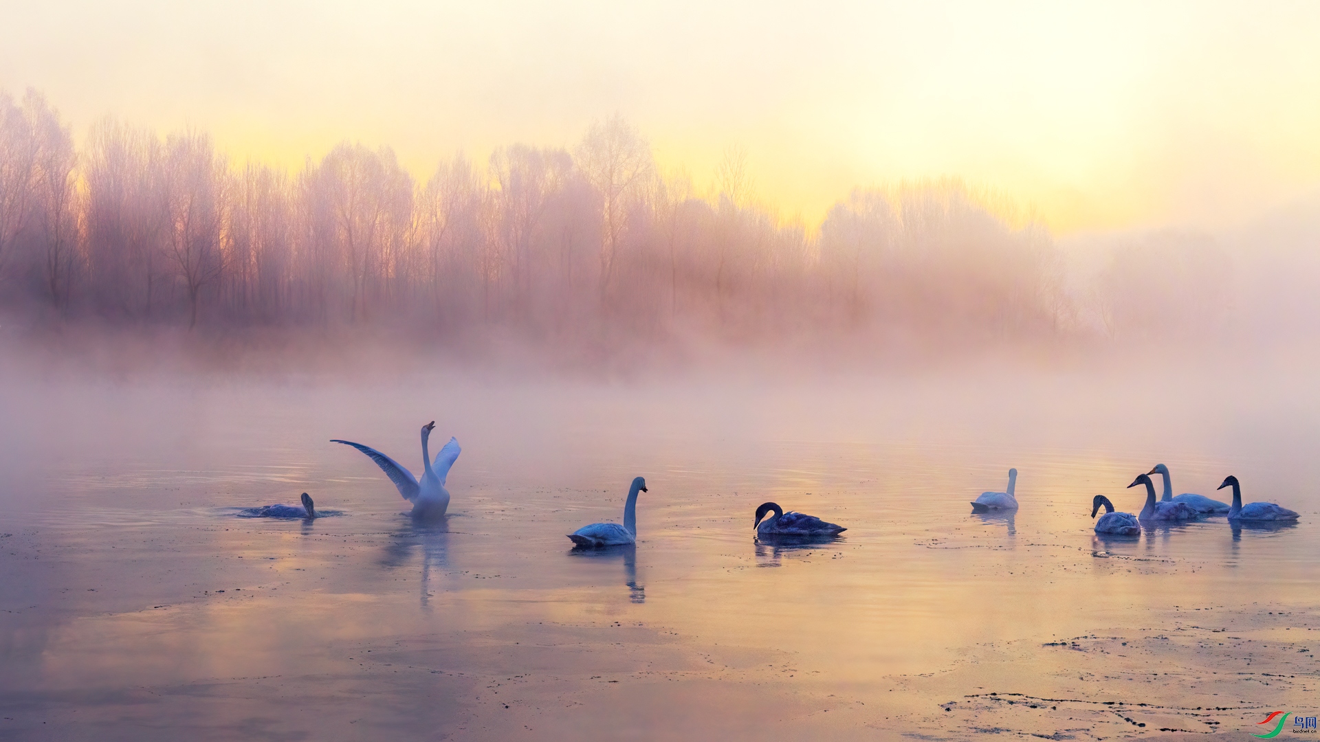 _���2024X7A7563����.jpg