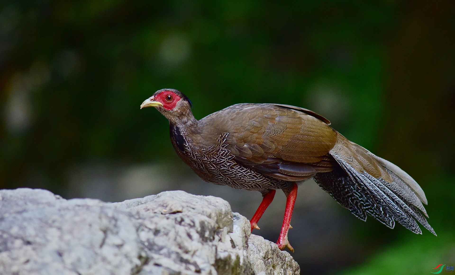 D8I_9960.jpg