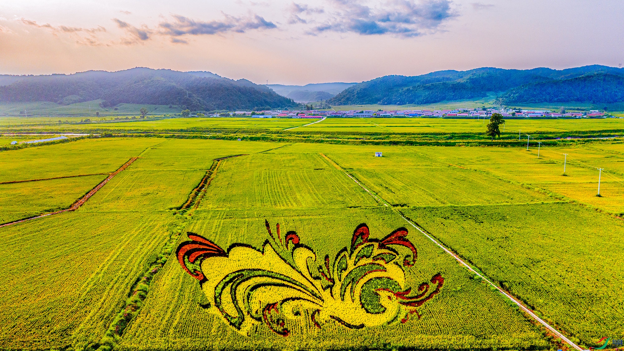 DJI_0034-1.jpg