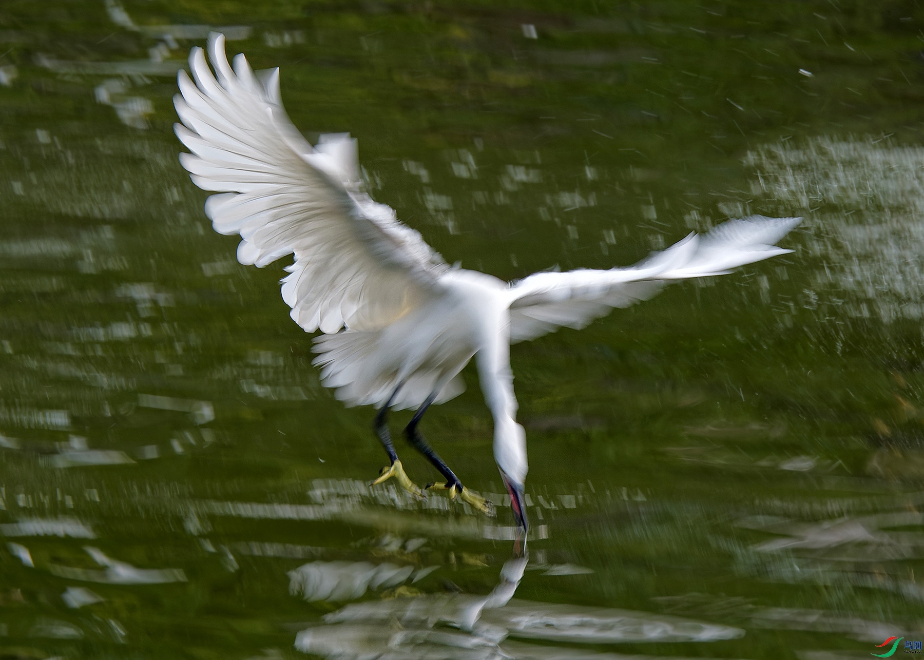 PLIU8500.jpg