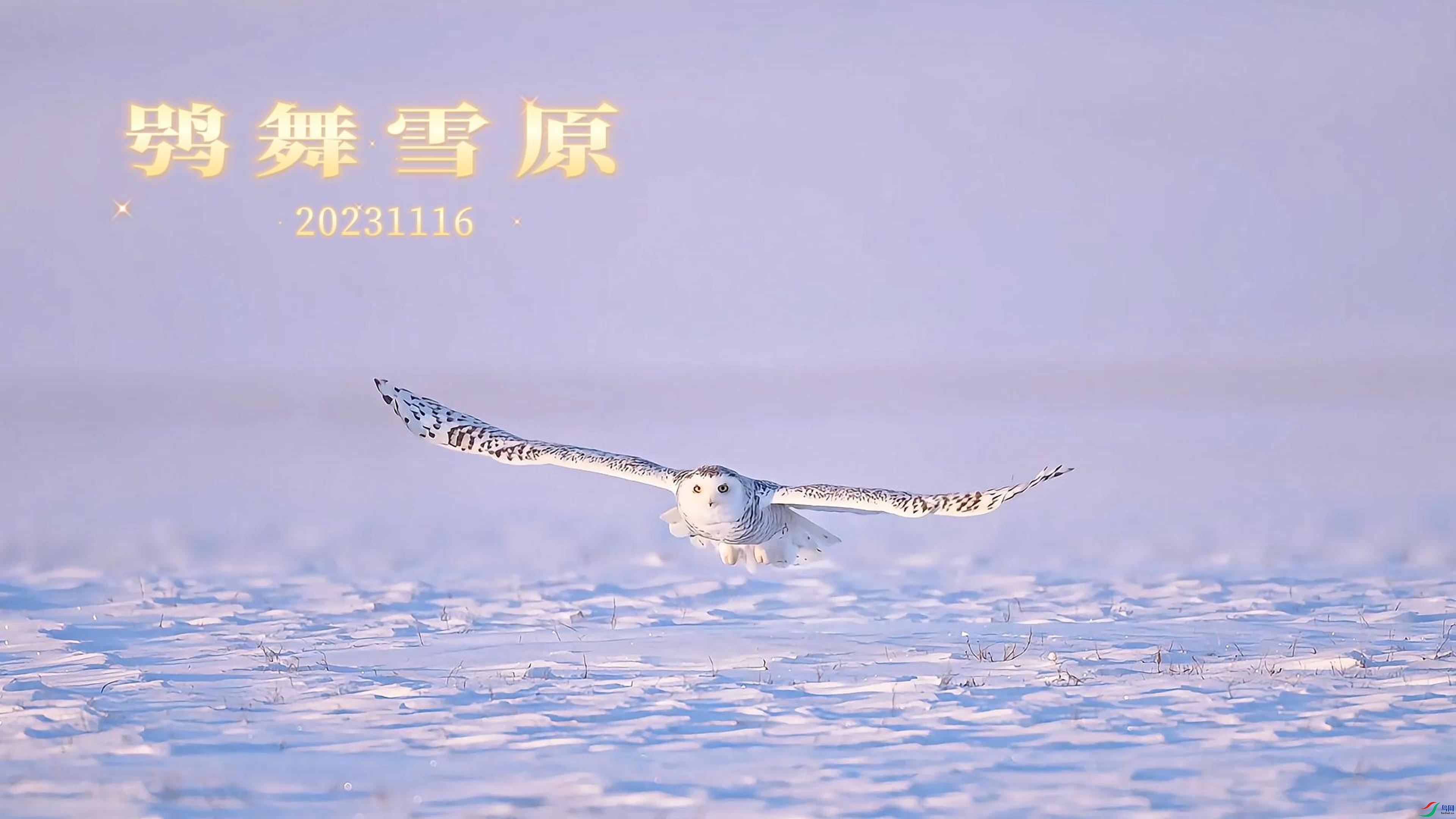 9��15�� (3)(1)A-����.jpg