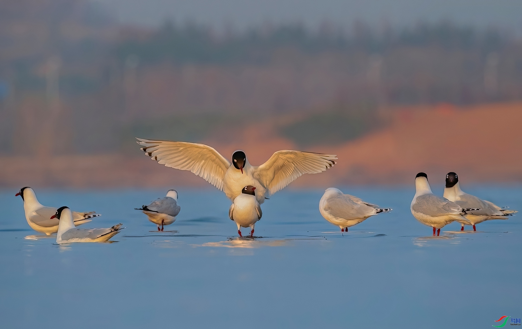 9.10����ͬ��yy��ʦ��Ʒ   ��Ÿ���ܶ���� ��ף���ٻ��Ա������.jpg