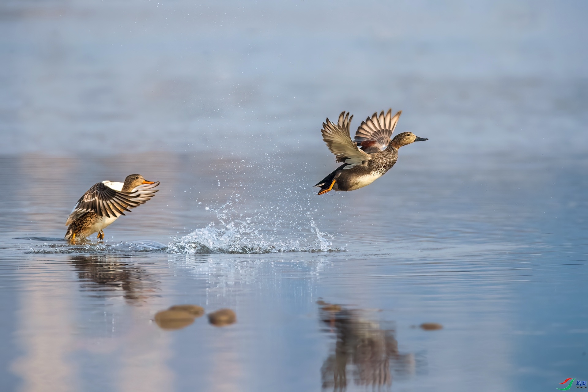 9.11��ϵ5D3��ʦ��Ʒ   ��� ��ף���ٻ��Ա������.jpg